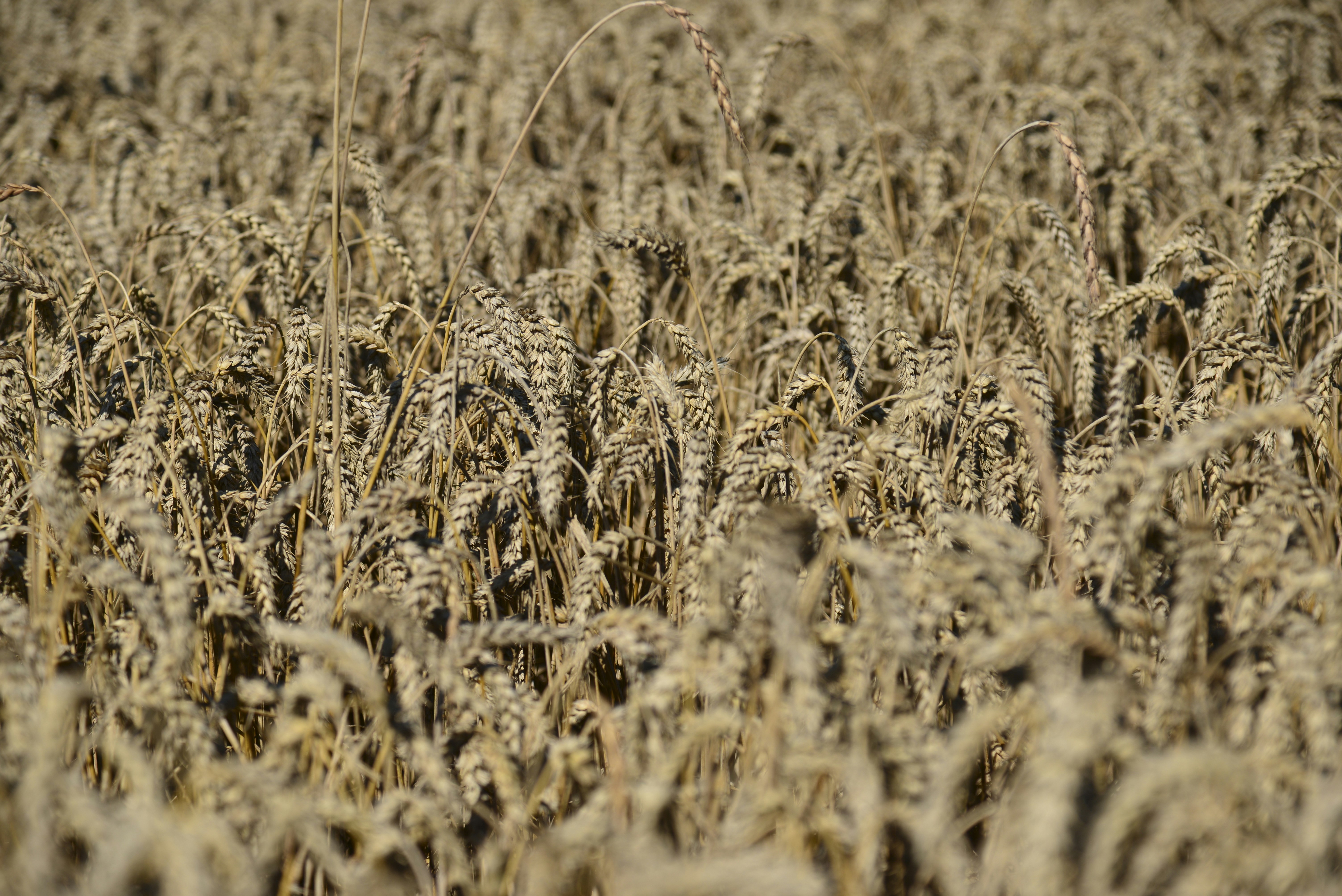 Photo by malwinanogaj