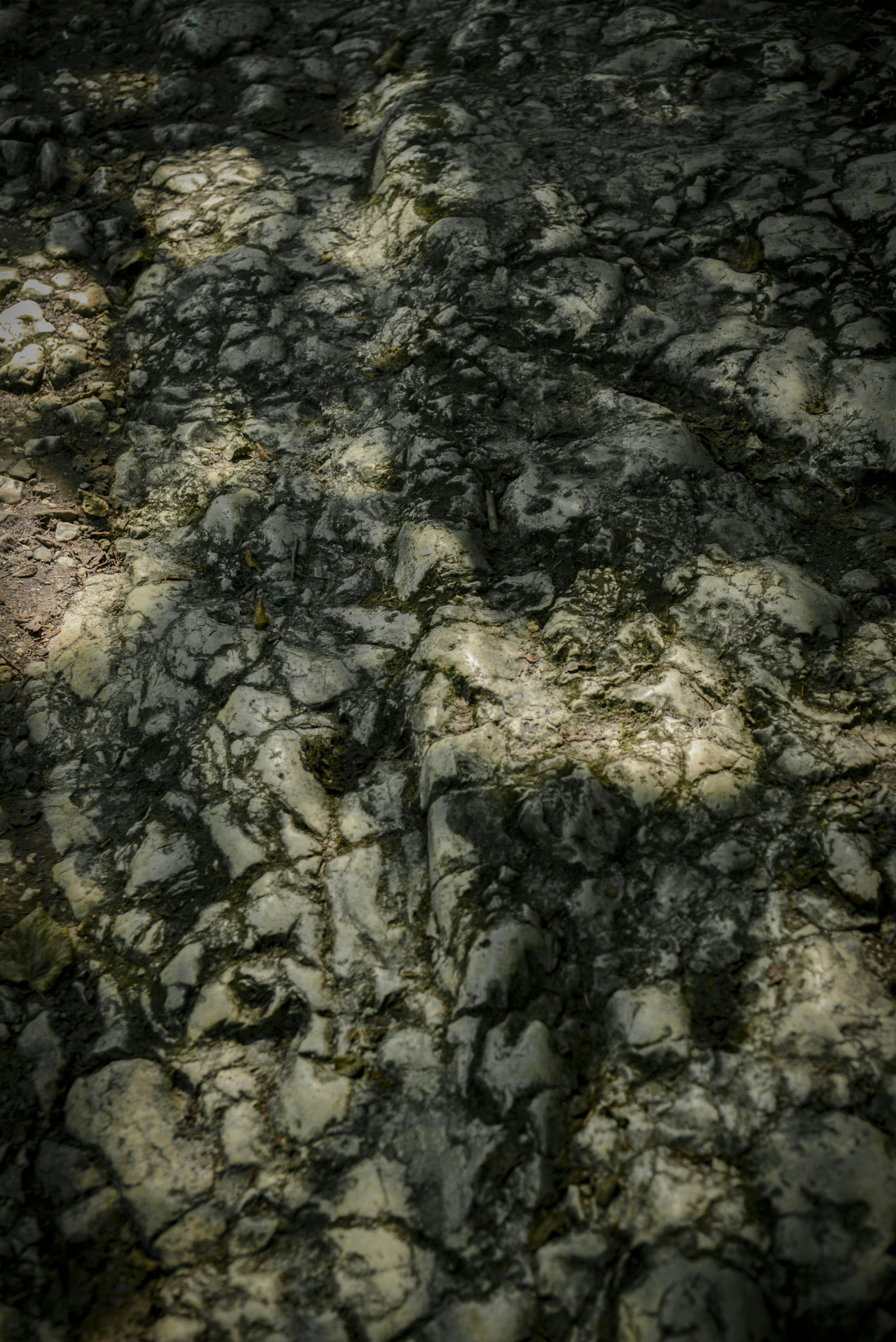 Photo by malwinanogaj