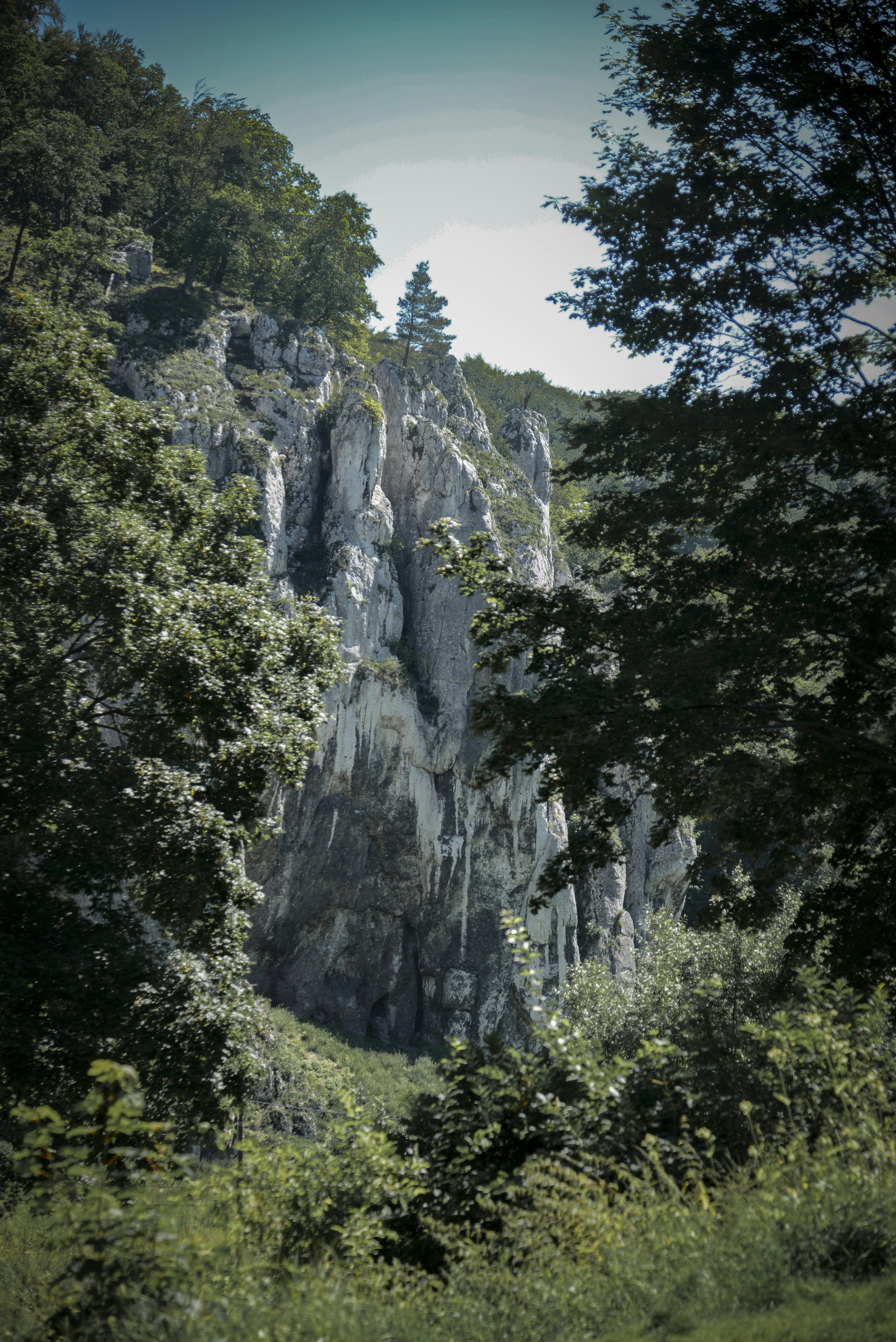 Photo by malwinanogaj