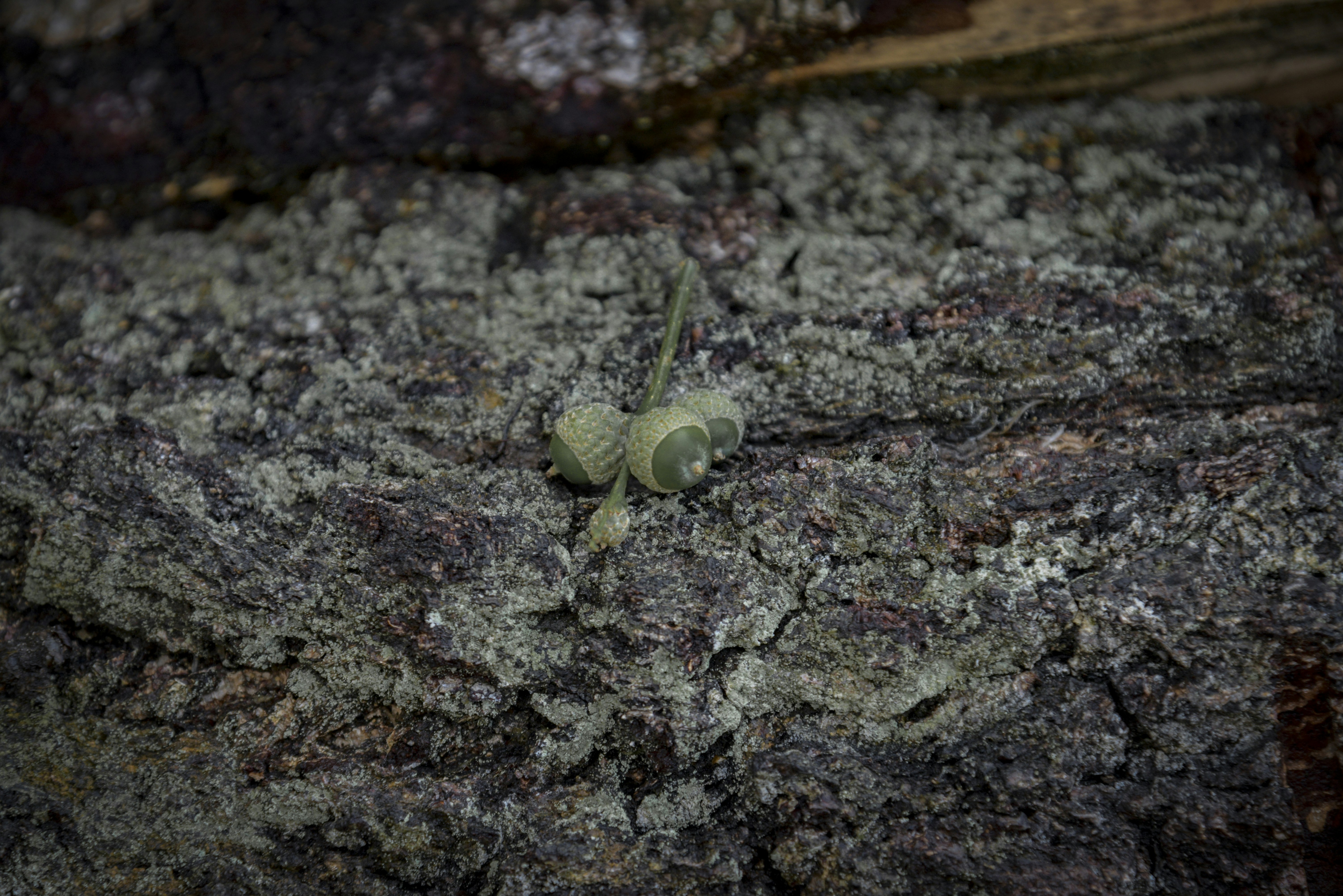 Photo by malwinanogaj