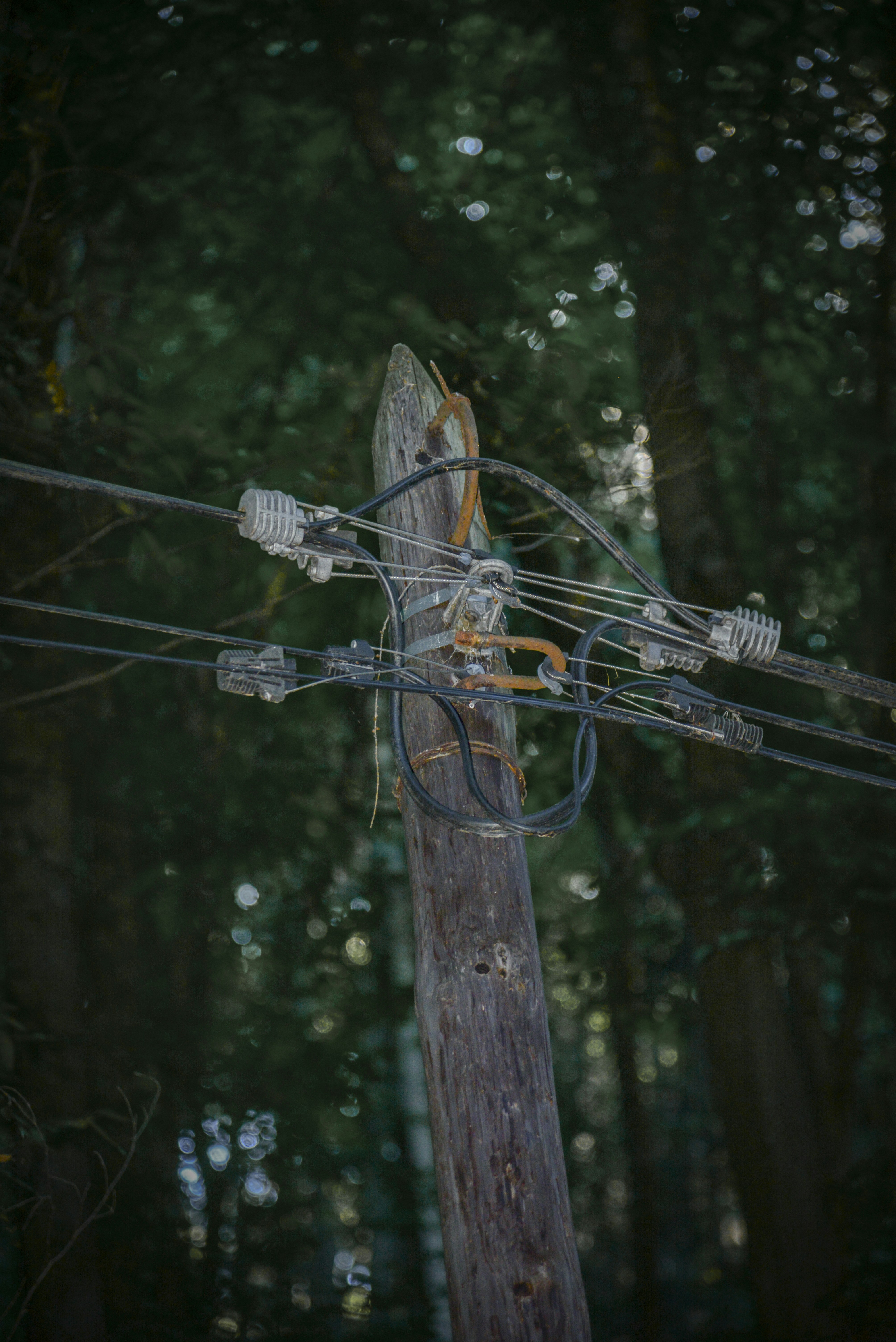 Photo by malwinanogaj