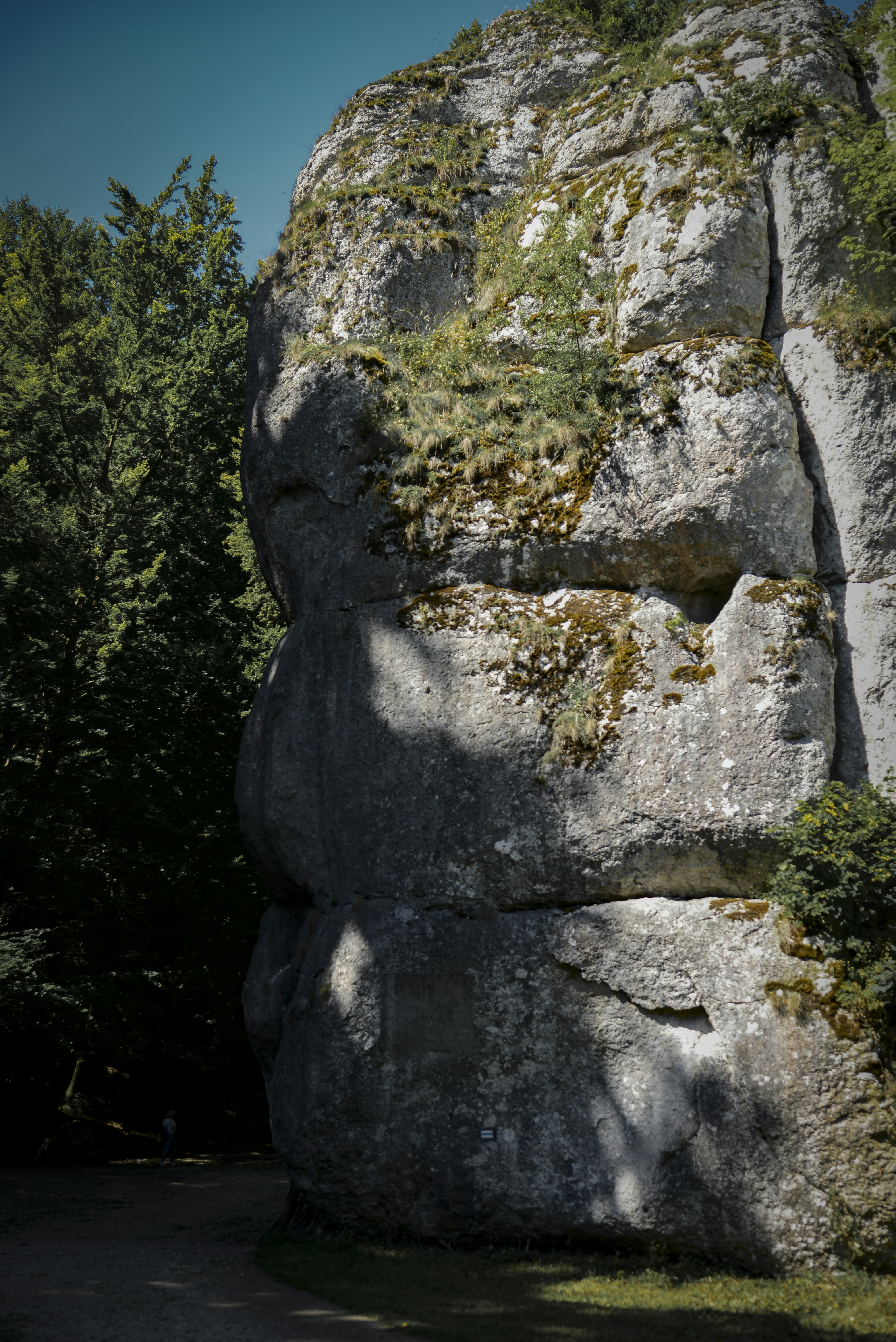 Photo by malwinanogaj