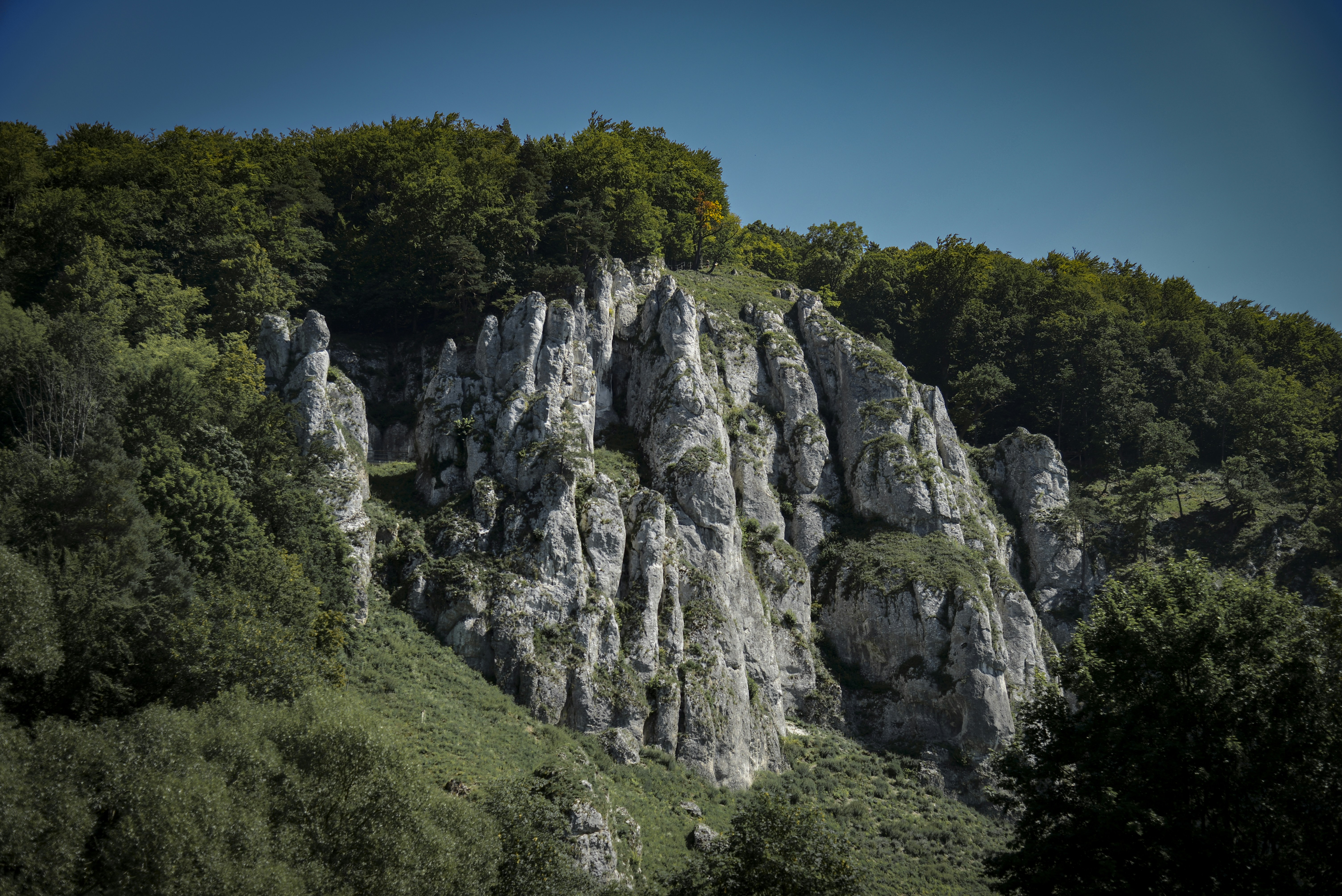 Photo by malwinanogaj