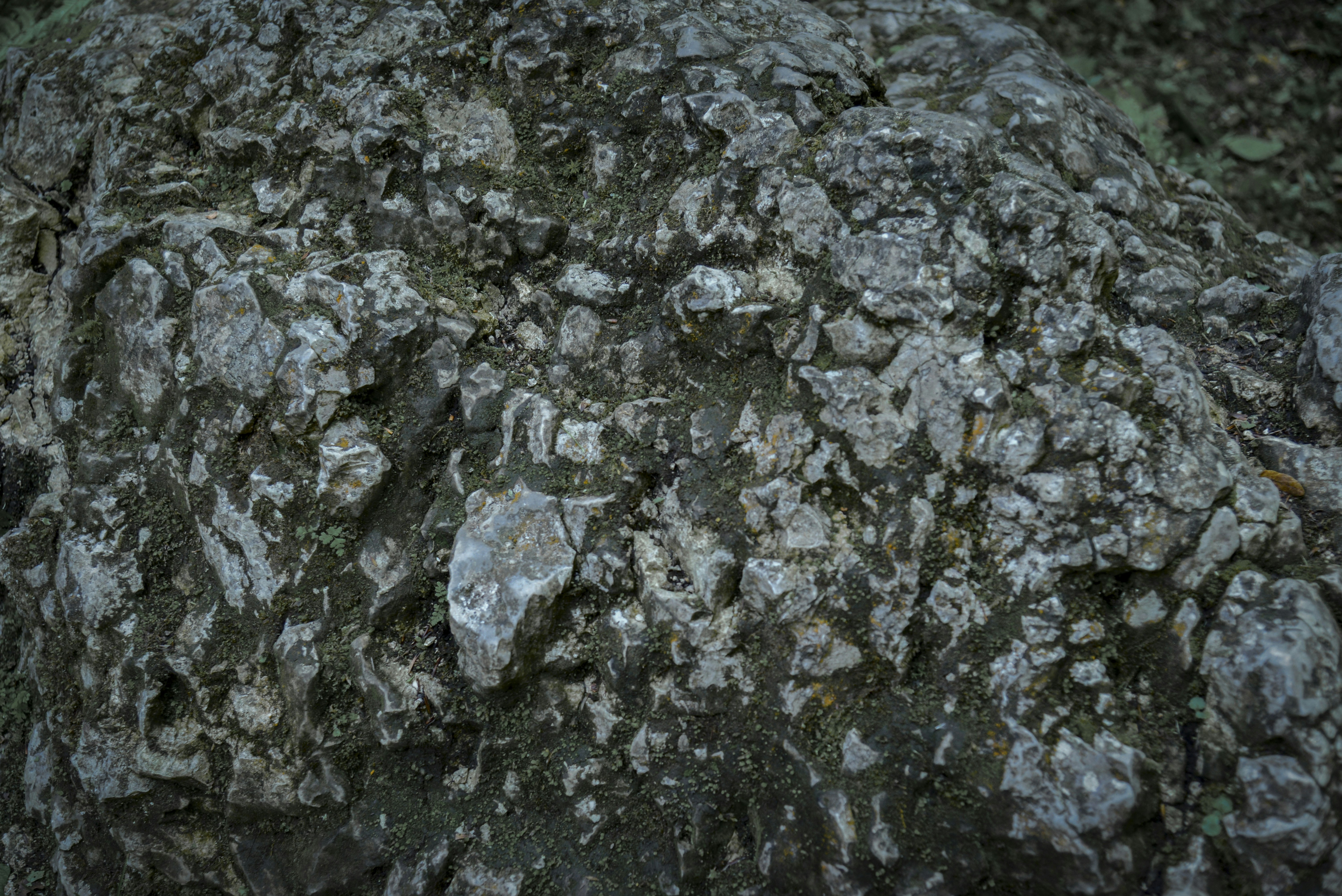 Photo by malwinanogaj