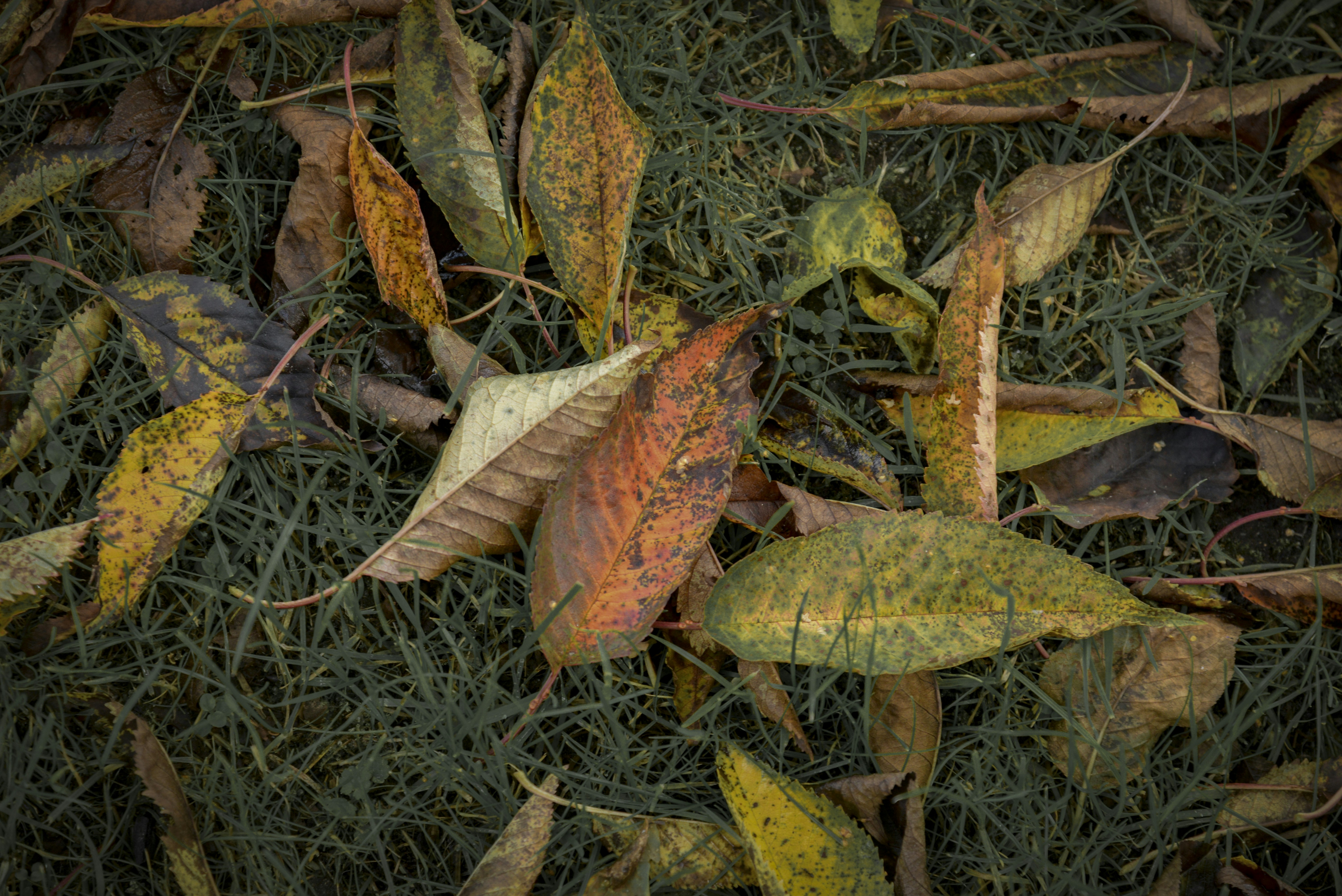 Photo by malwinanogaj