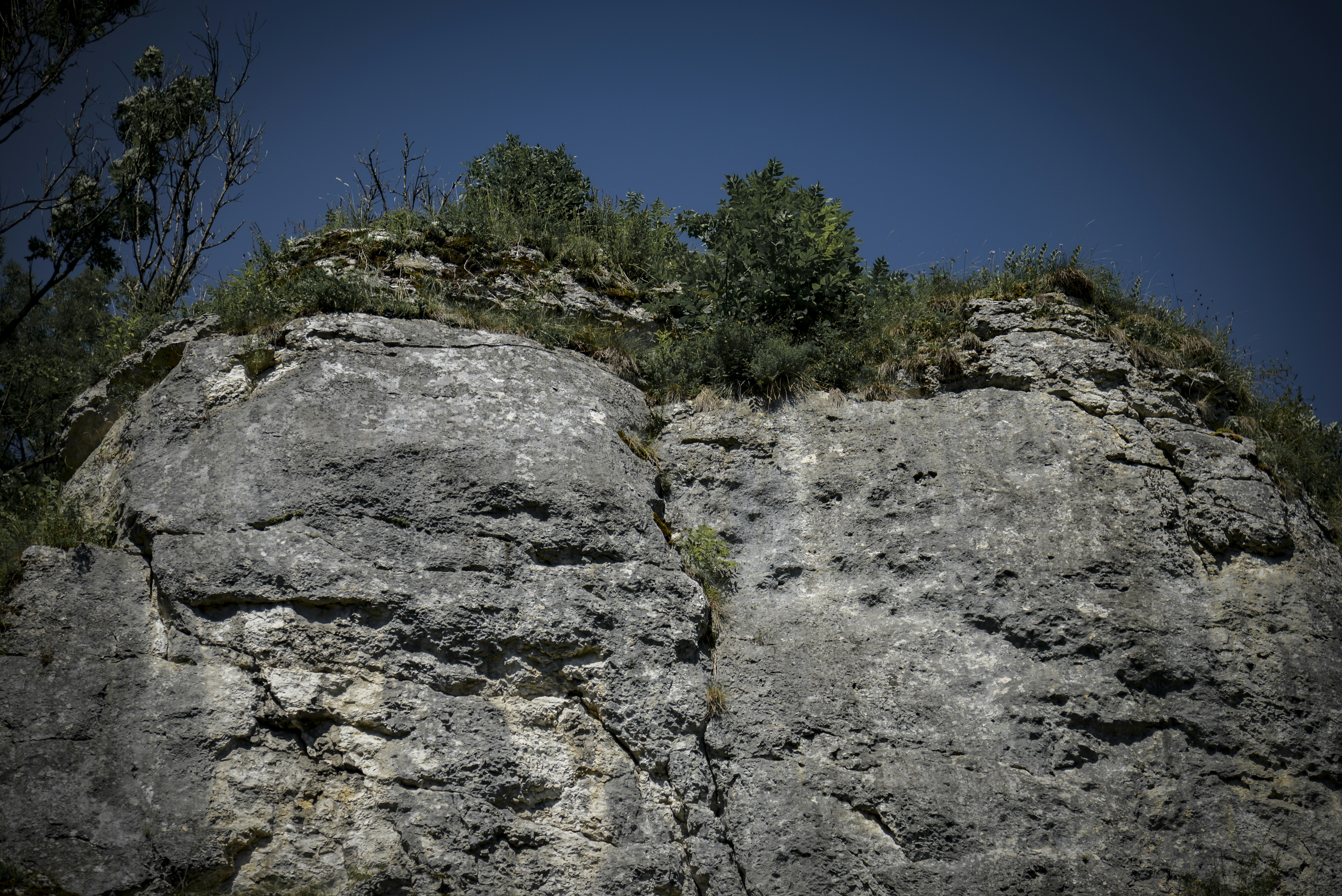 Photo by malwinanogaj