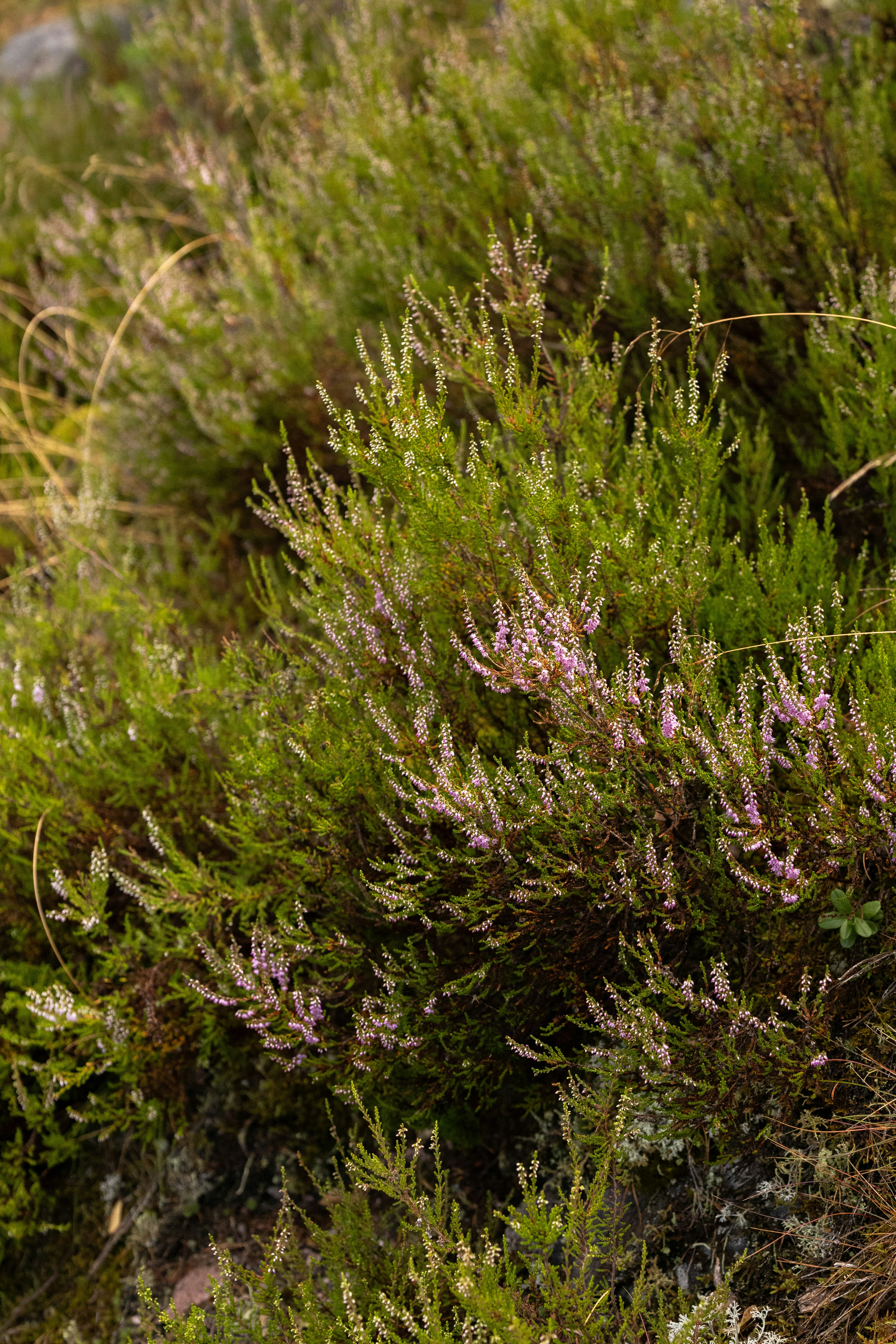 Photo by dariamemories