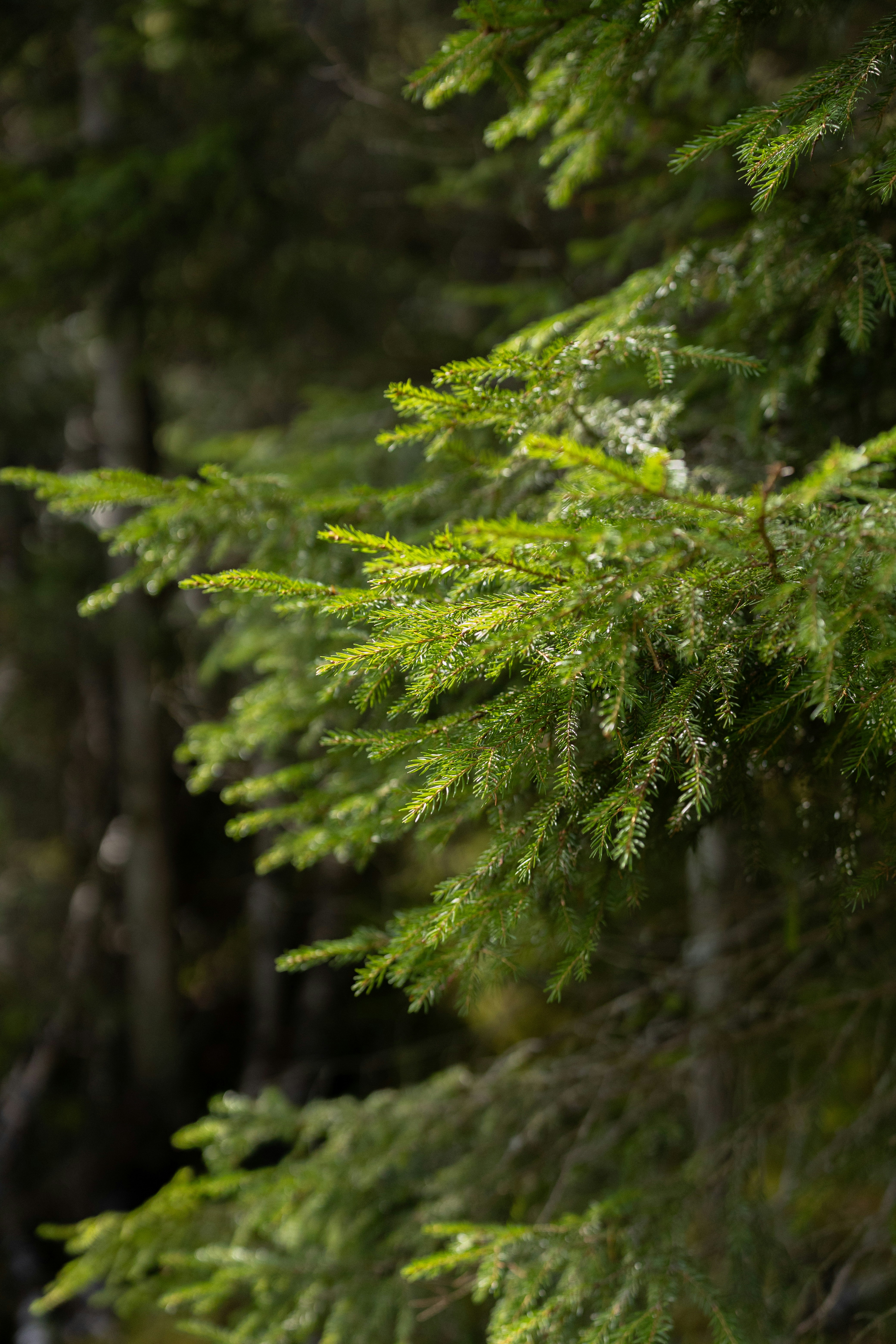 Photo by dariamemories