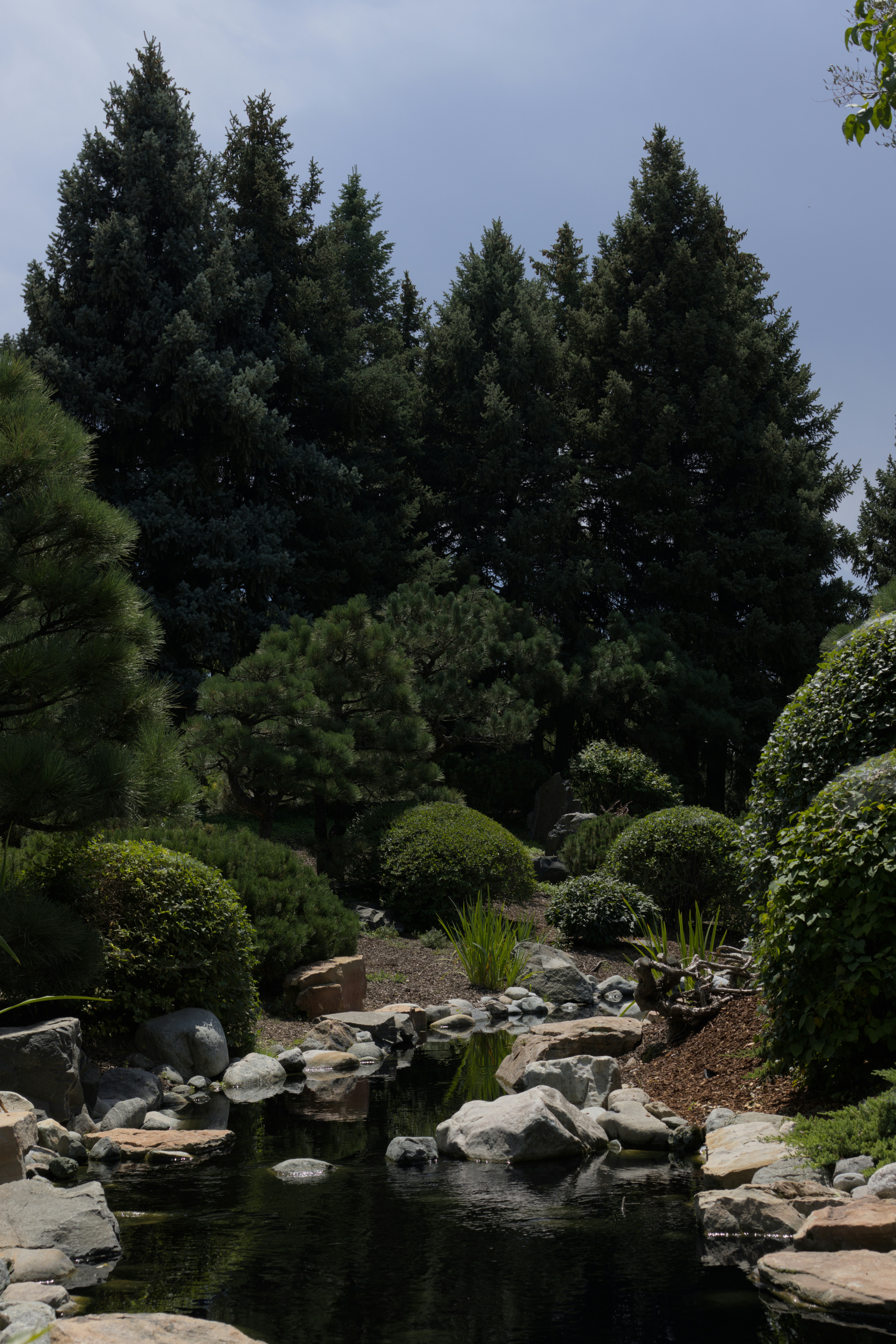 Lush garden with a tranquil stream and stone bridge