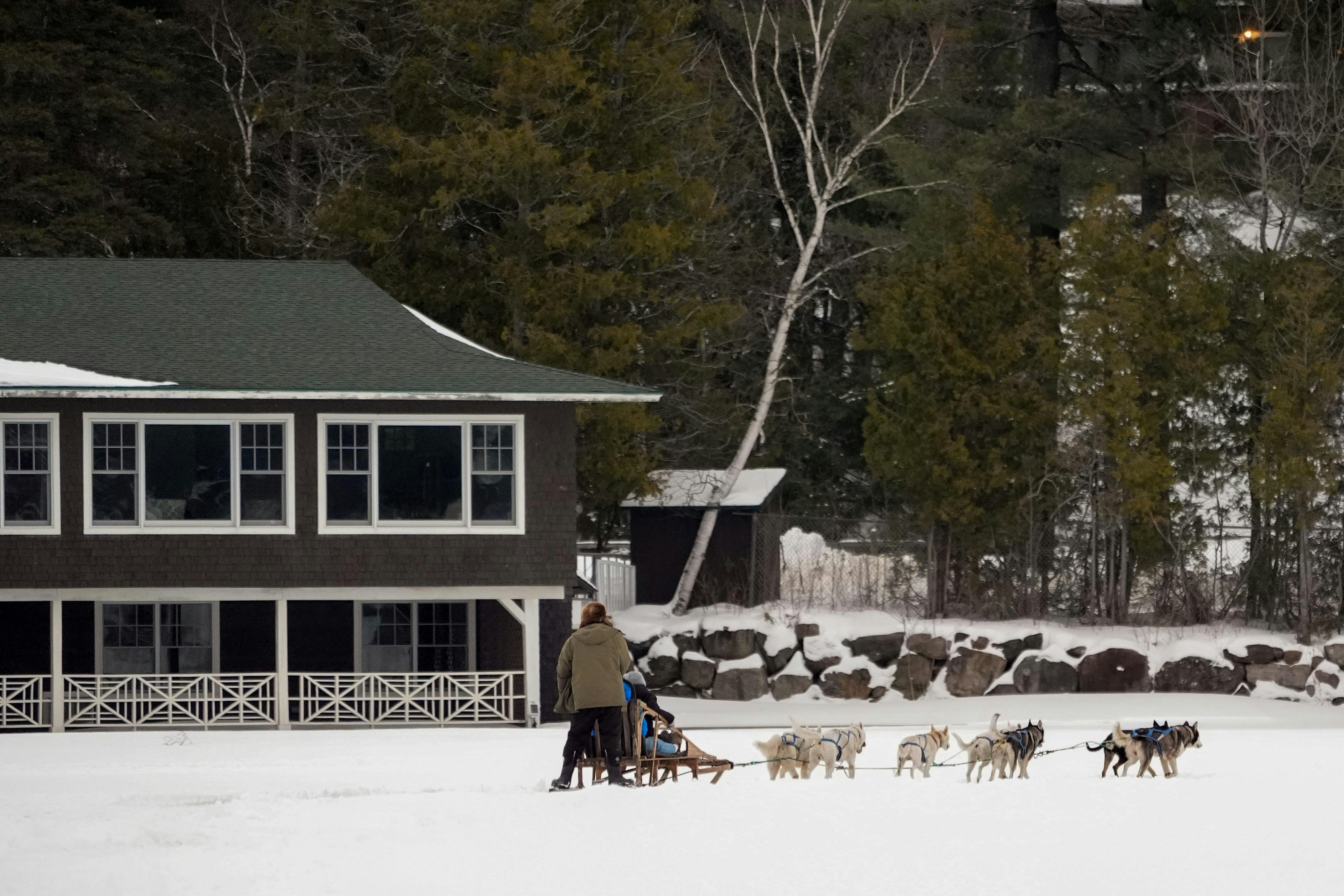 Moose and sled dogs near a building in snow