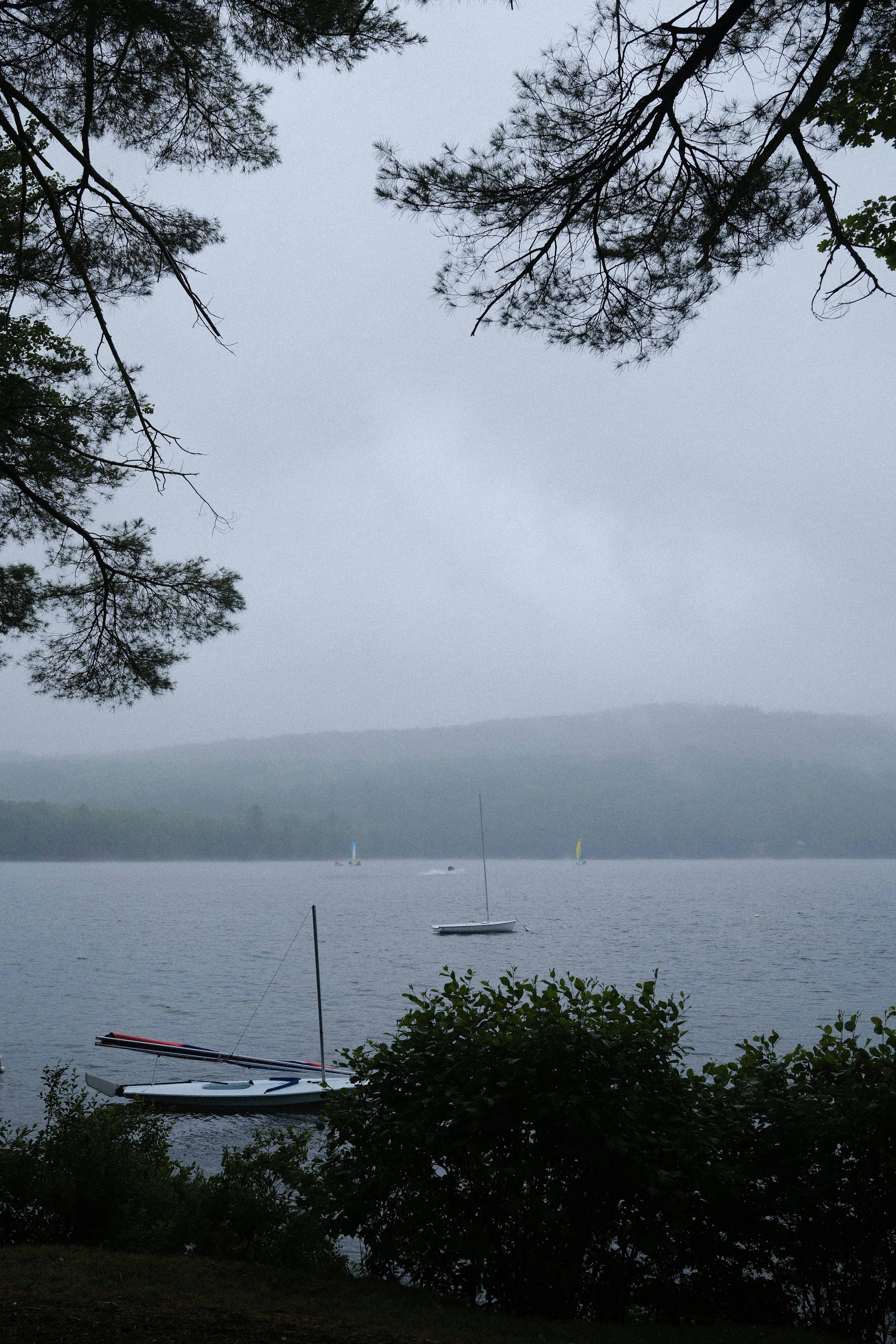 Misty lake with trees and a small boat.