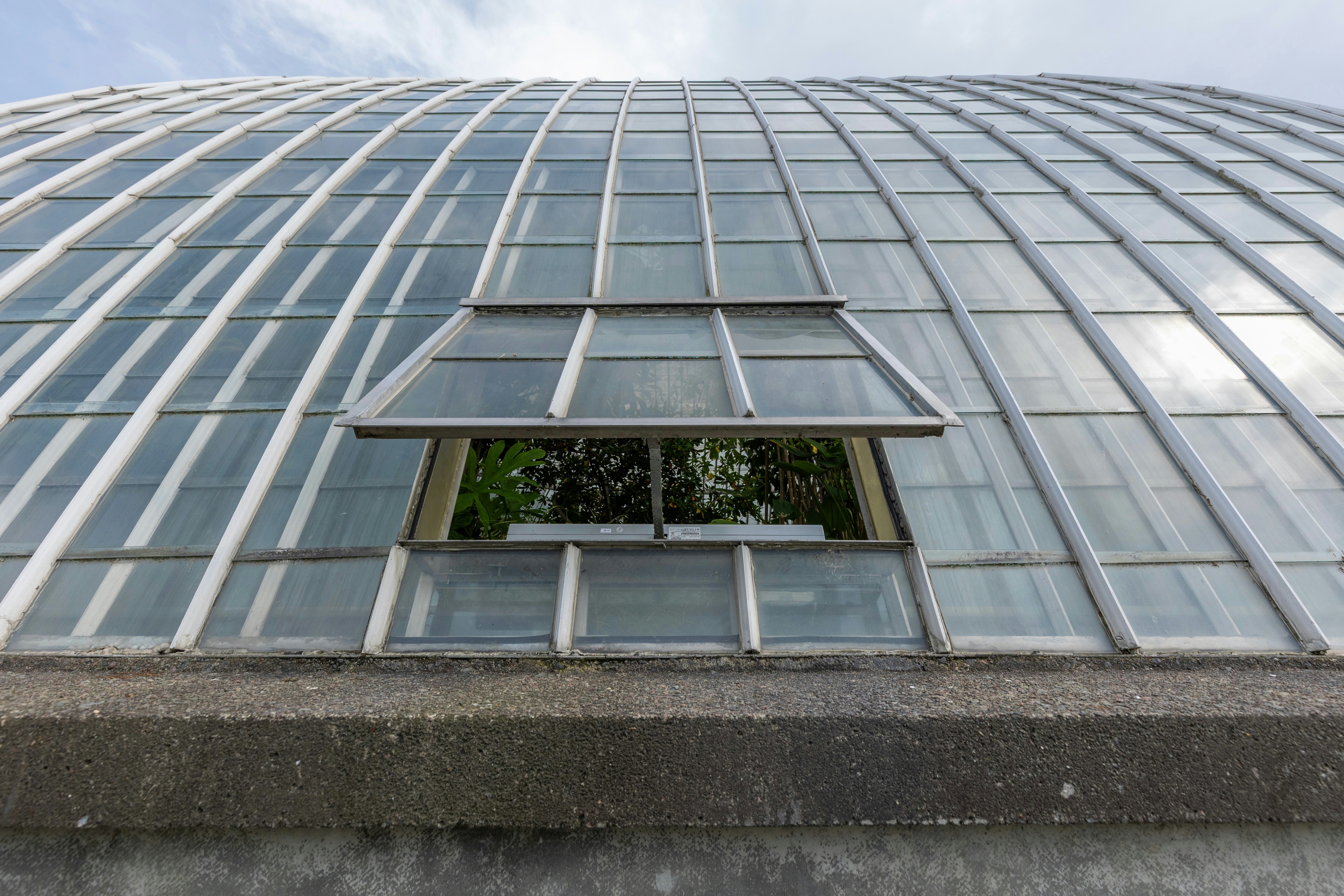Glass greenhouse roof with open window