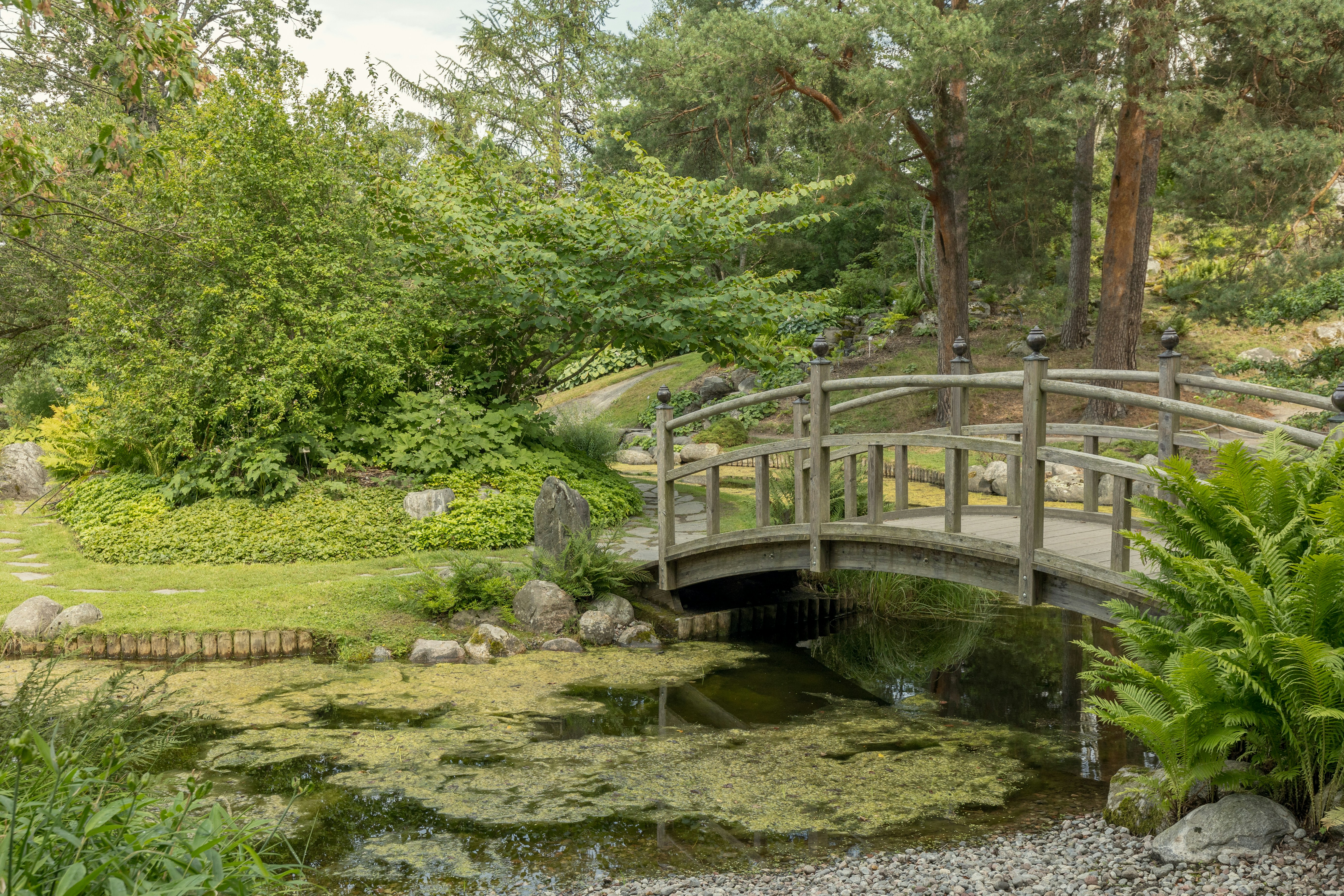 公園内の小川に架かる木製の橋の写真 – Unsplashの森の無料画像