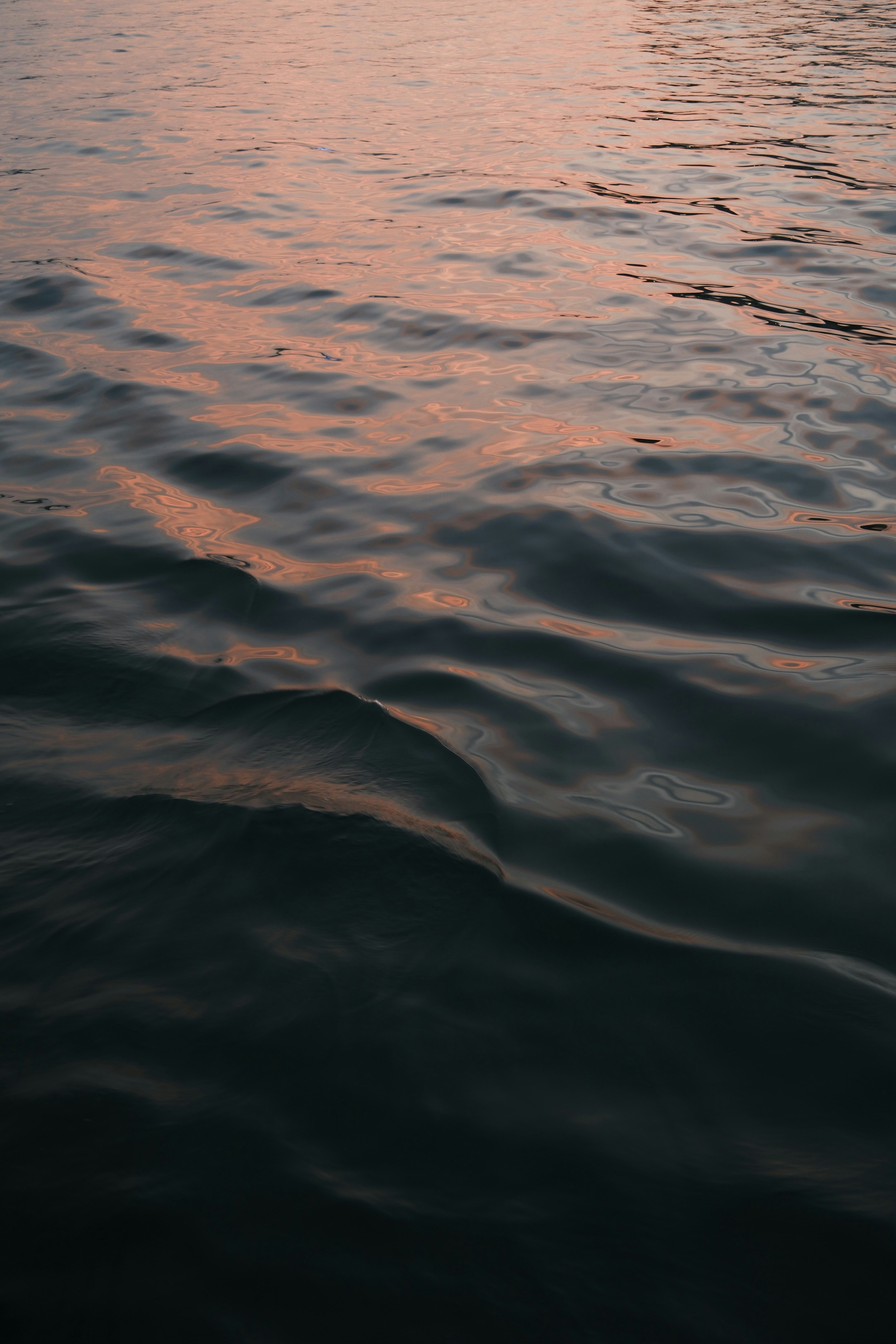 Photo by leonbredella