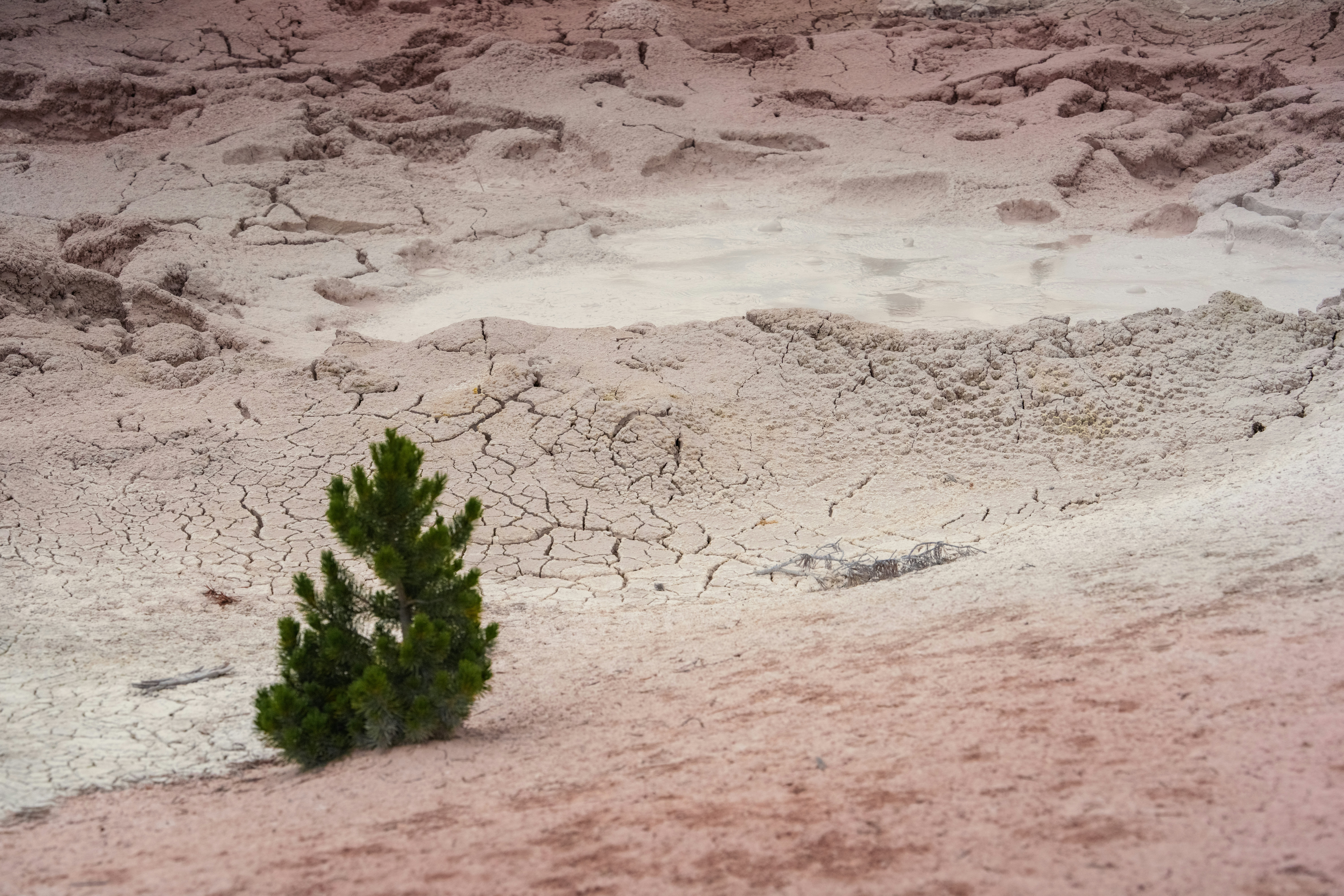 Desert Park