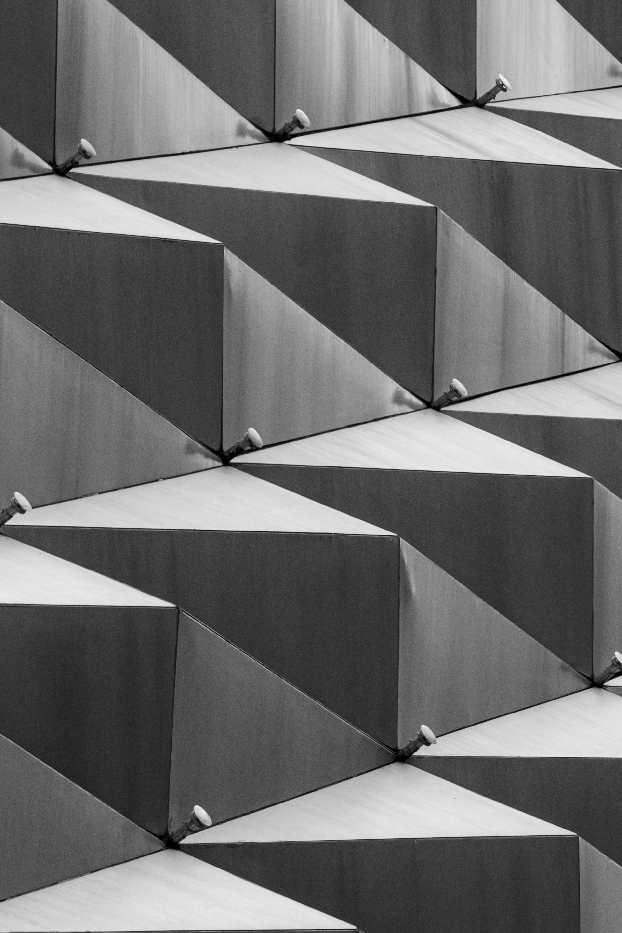 Photo by vicko_fidelis