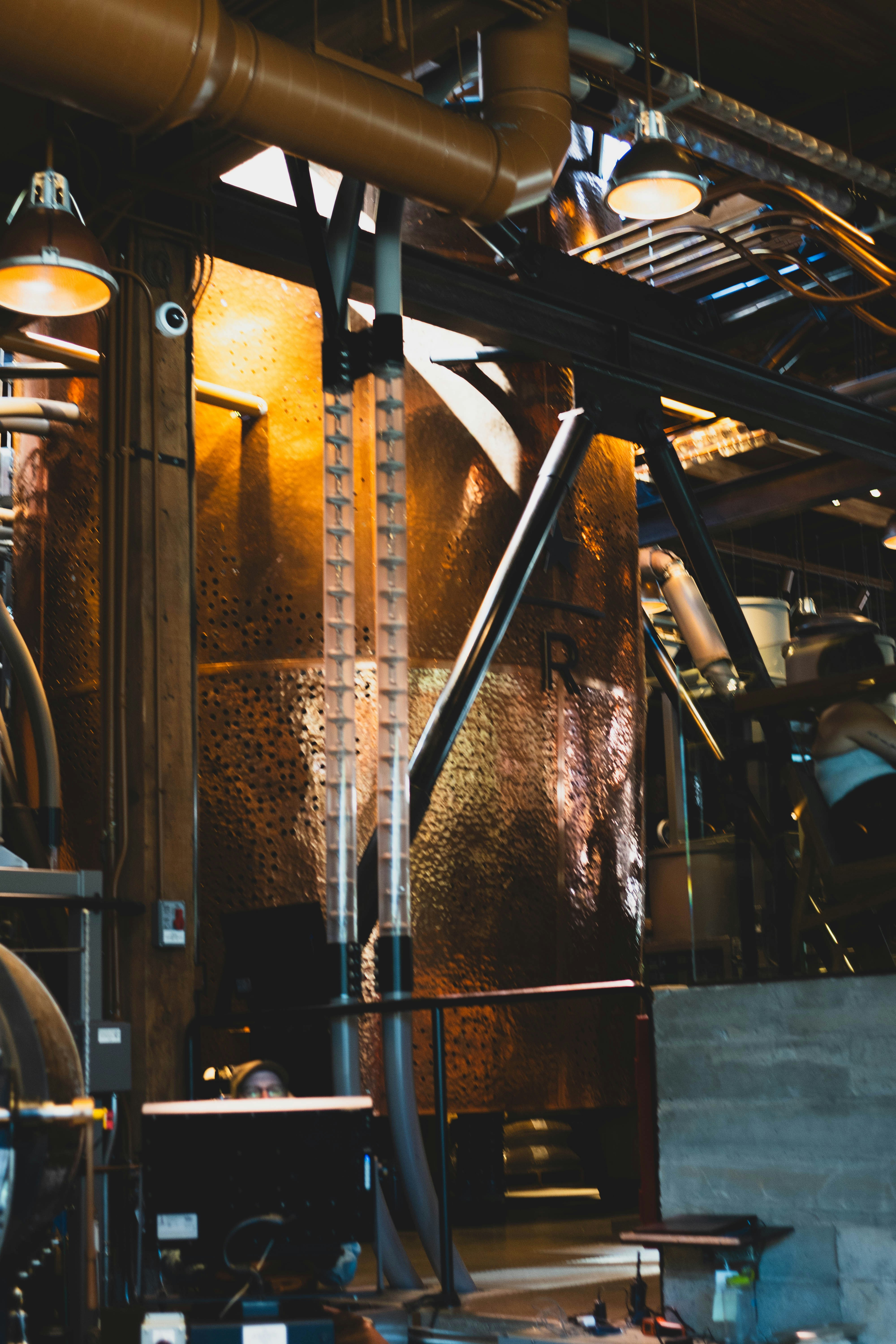 Photo by madeline_sd