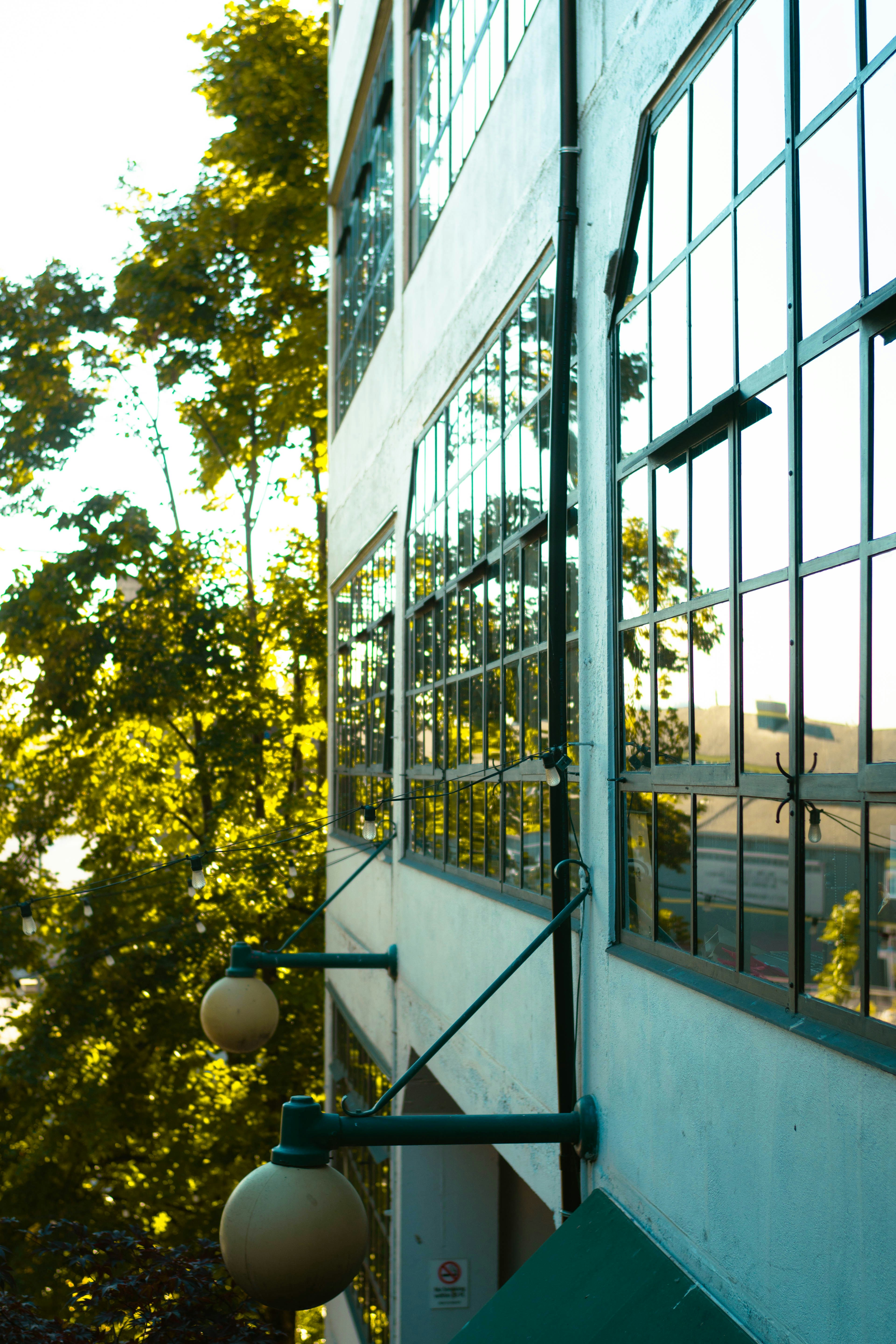 Photo by madeline_sd