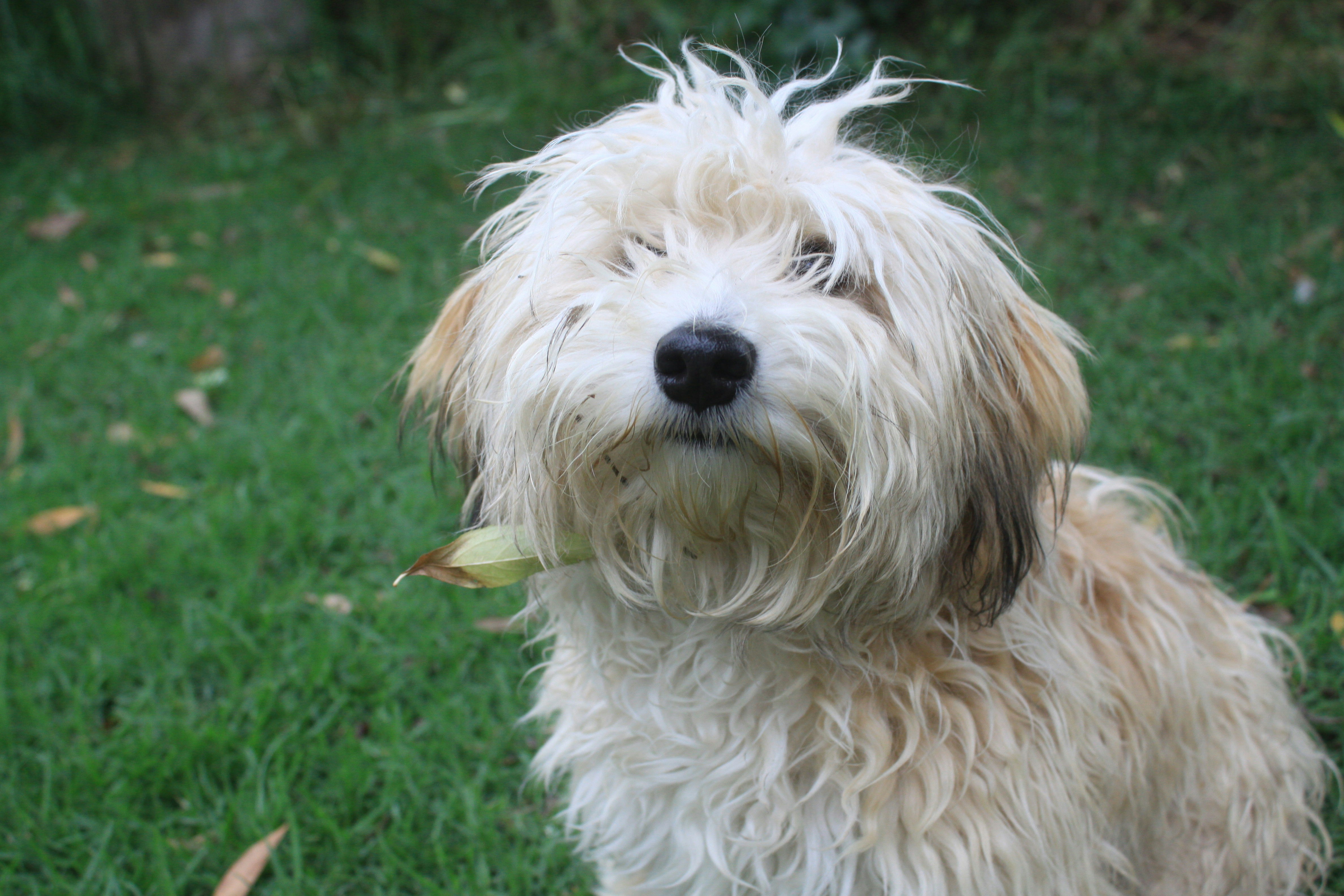 Photo by andrespuerto1