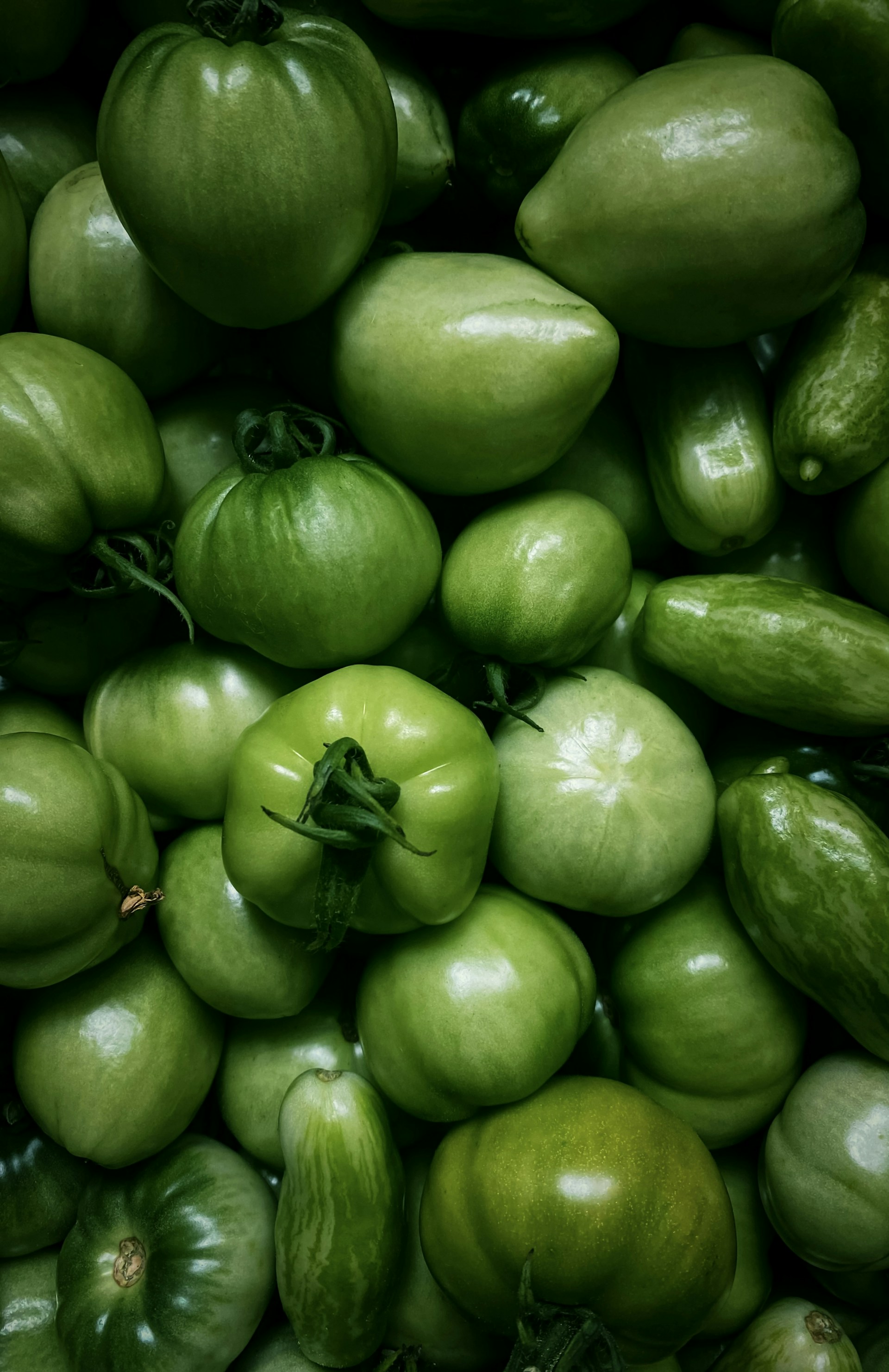A pile of fresh, green tomatoes