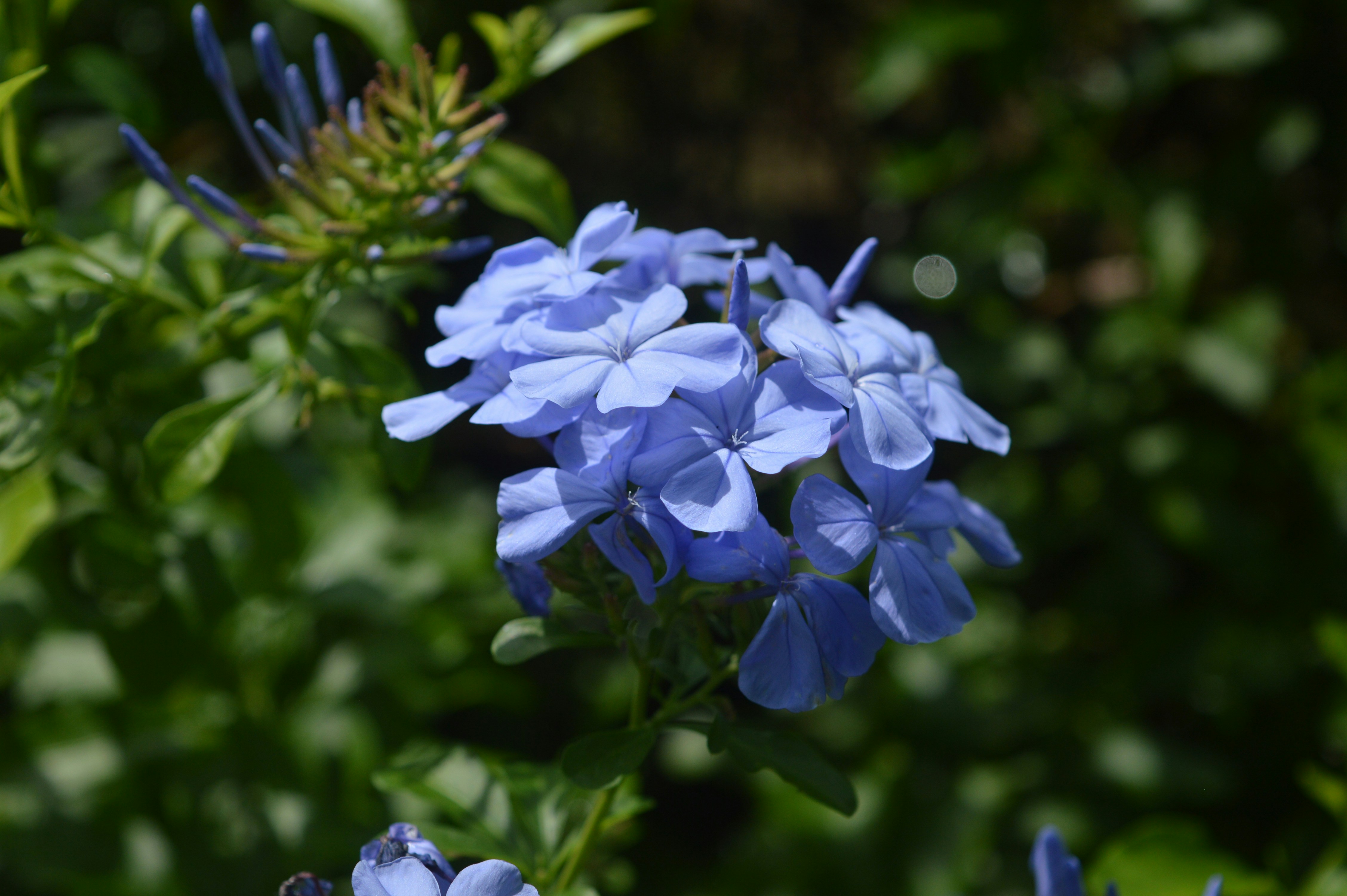 Photo by wisteriagraphics