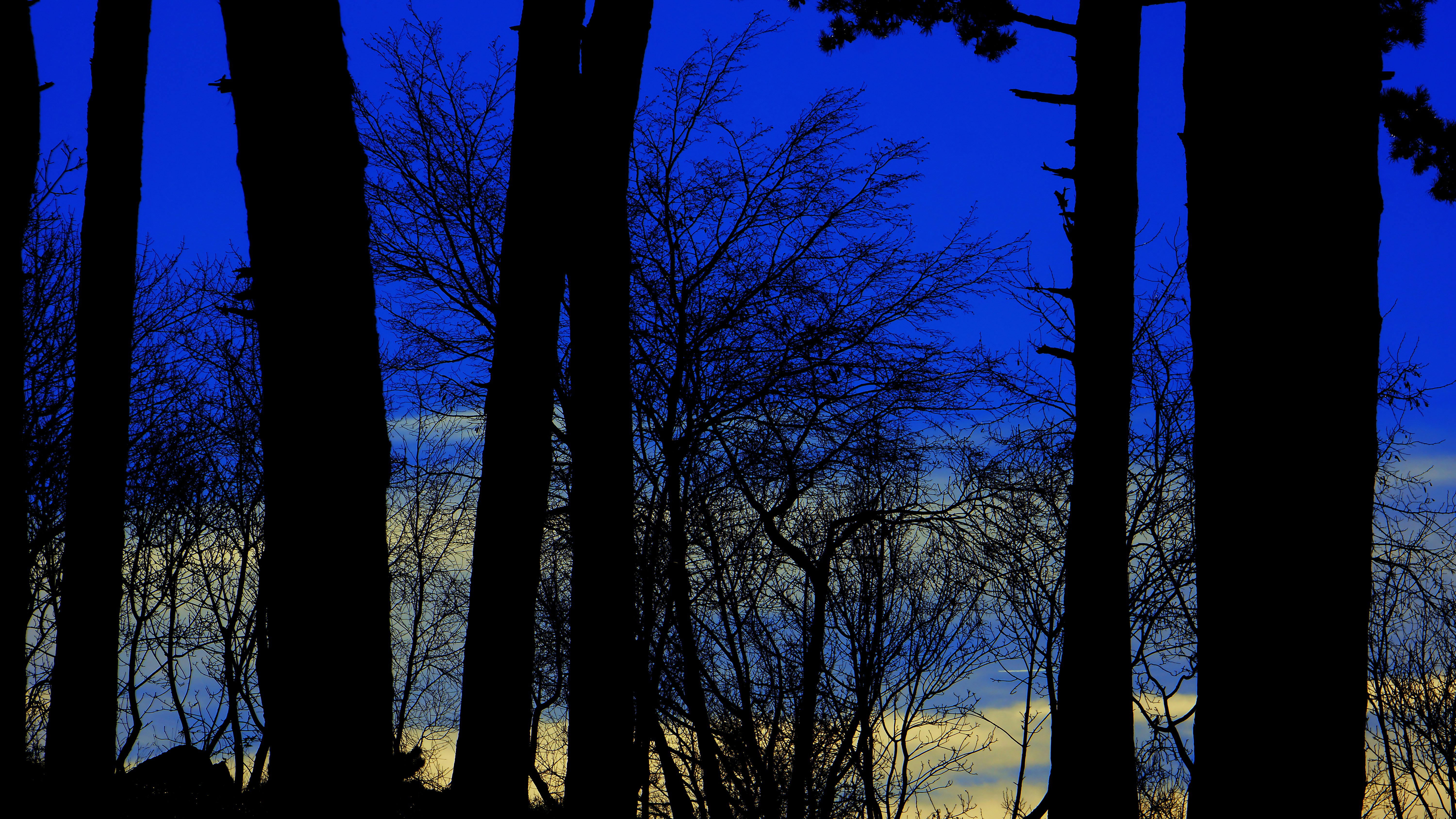 Photo by borisview