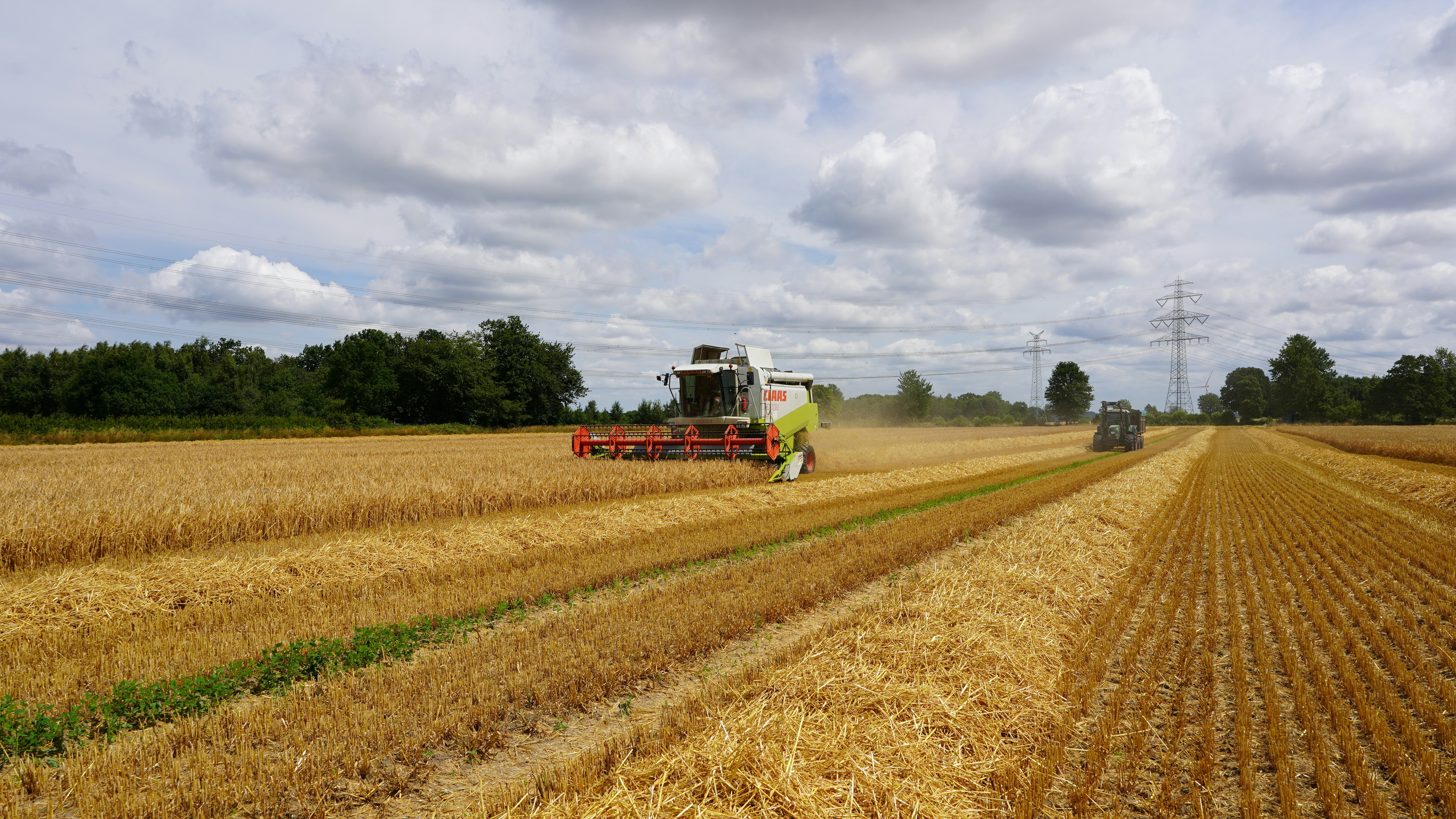 Photo by hamburgmeinefreundin