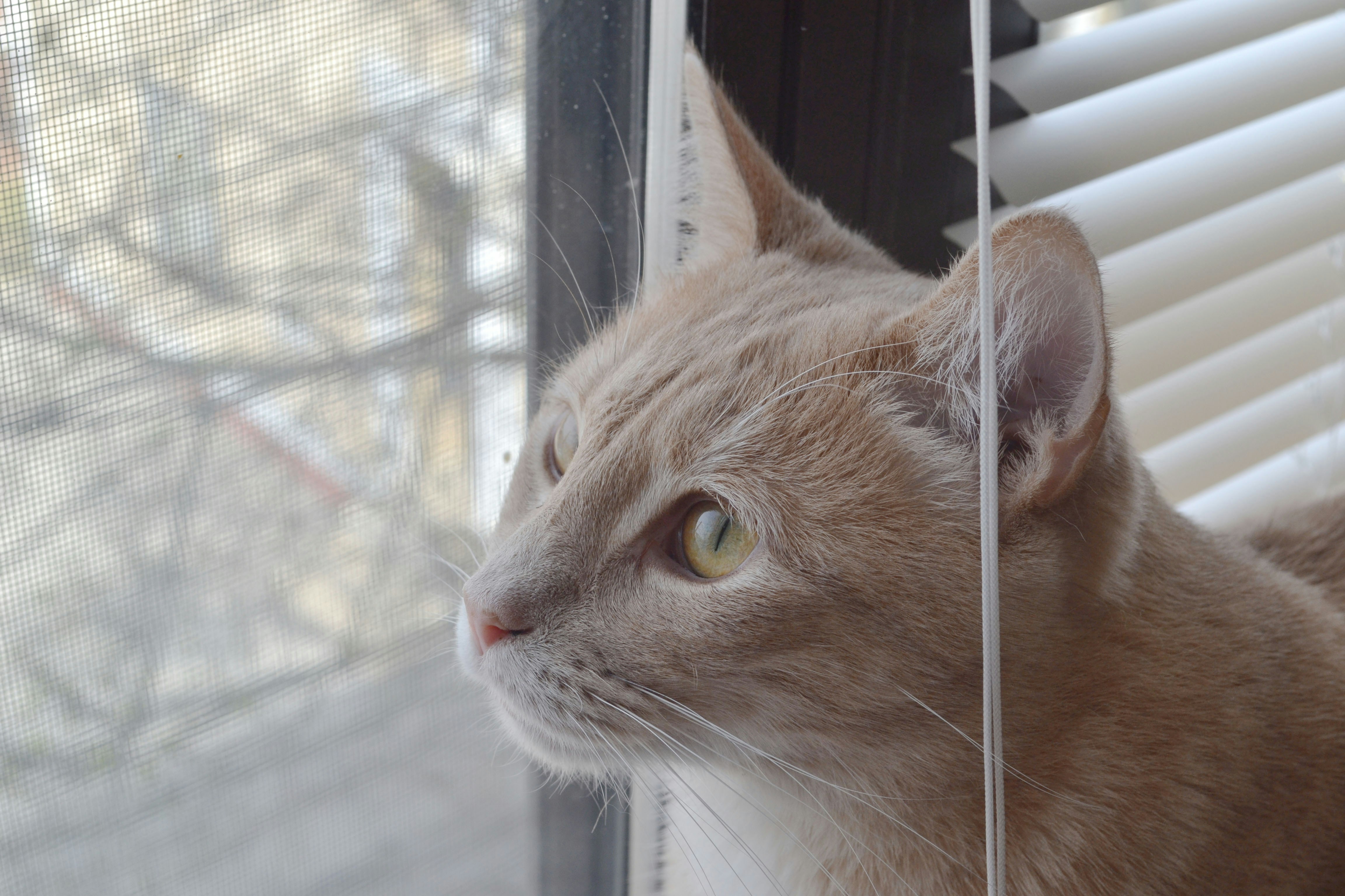 Photo by boysenberriefairie