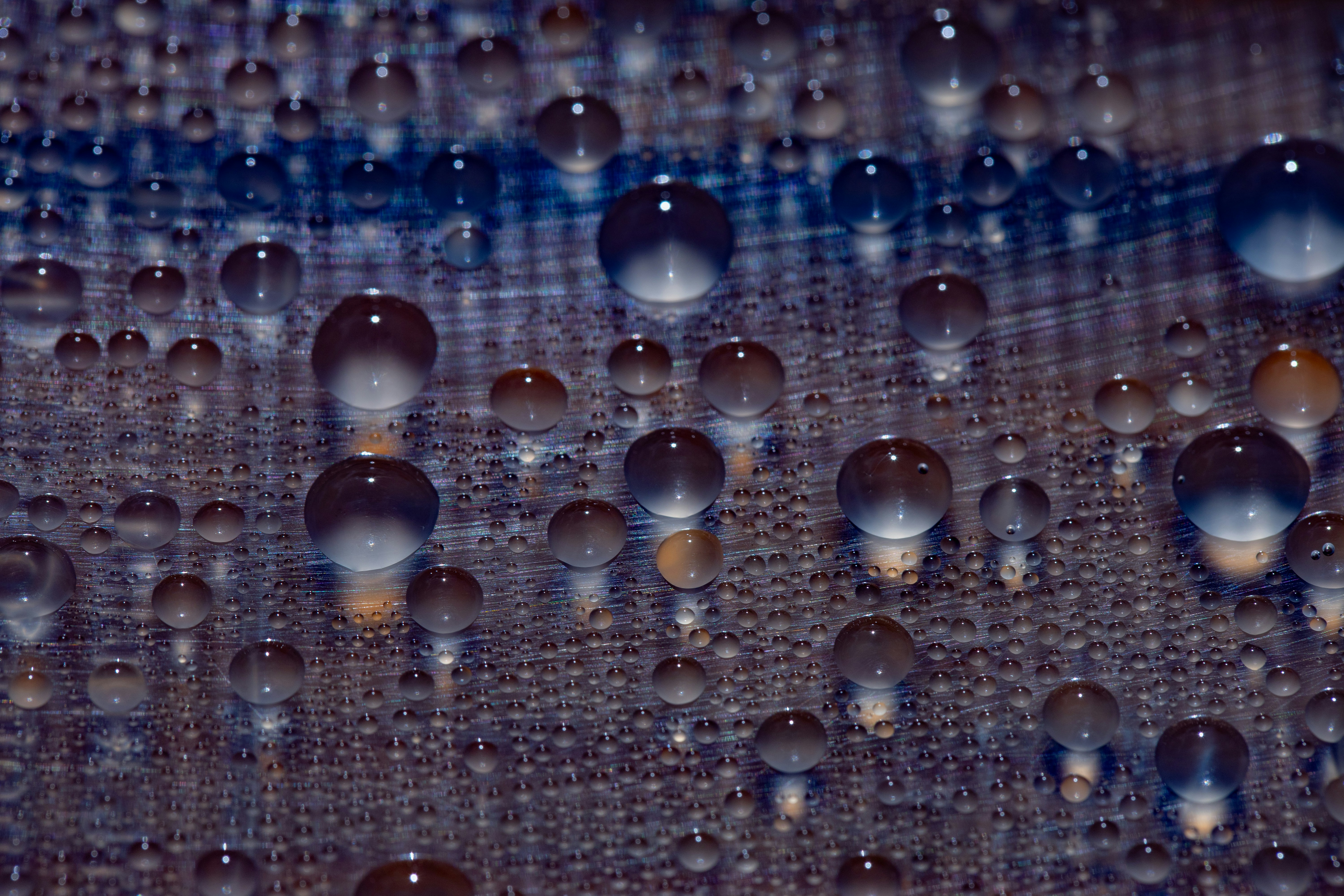 Photo by mariiastepanova1985