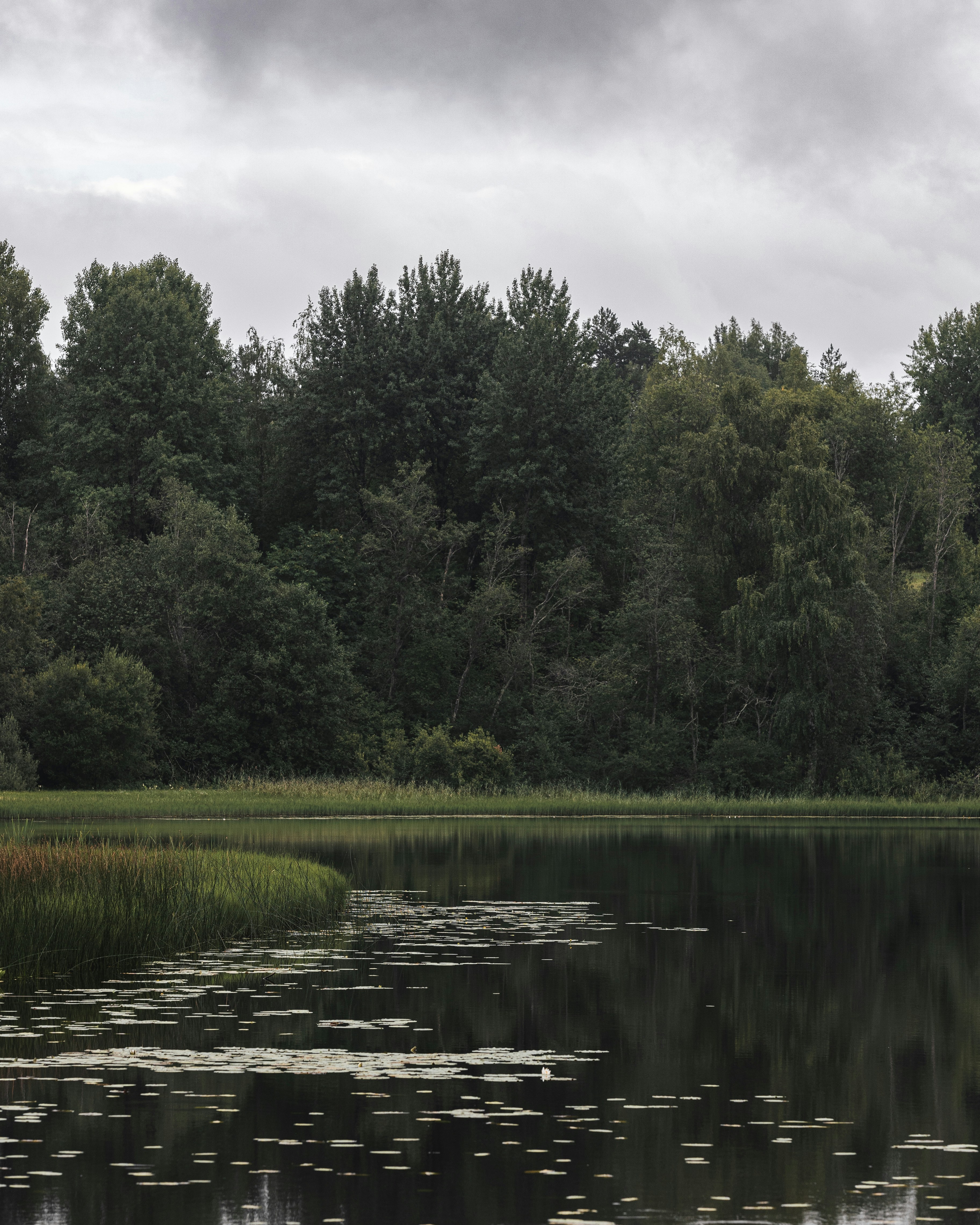 Photo by lastmanpaul