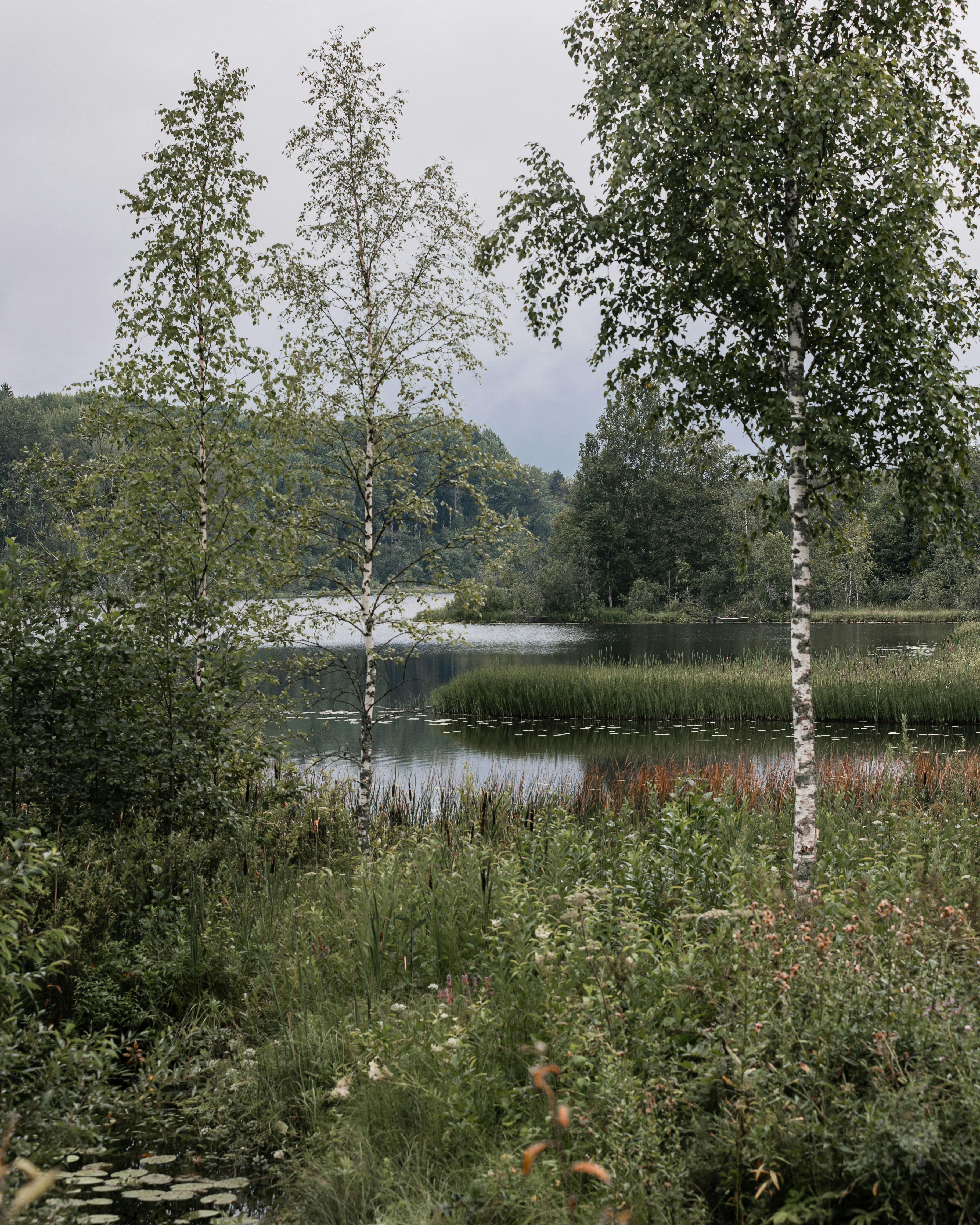 Photo by lastmanpaul