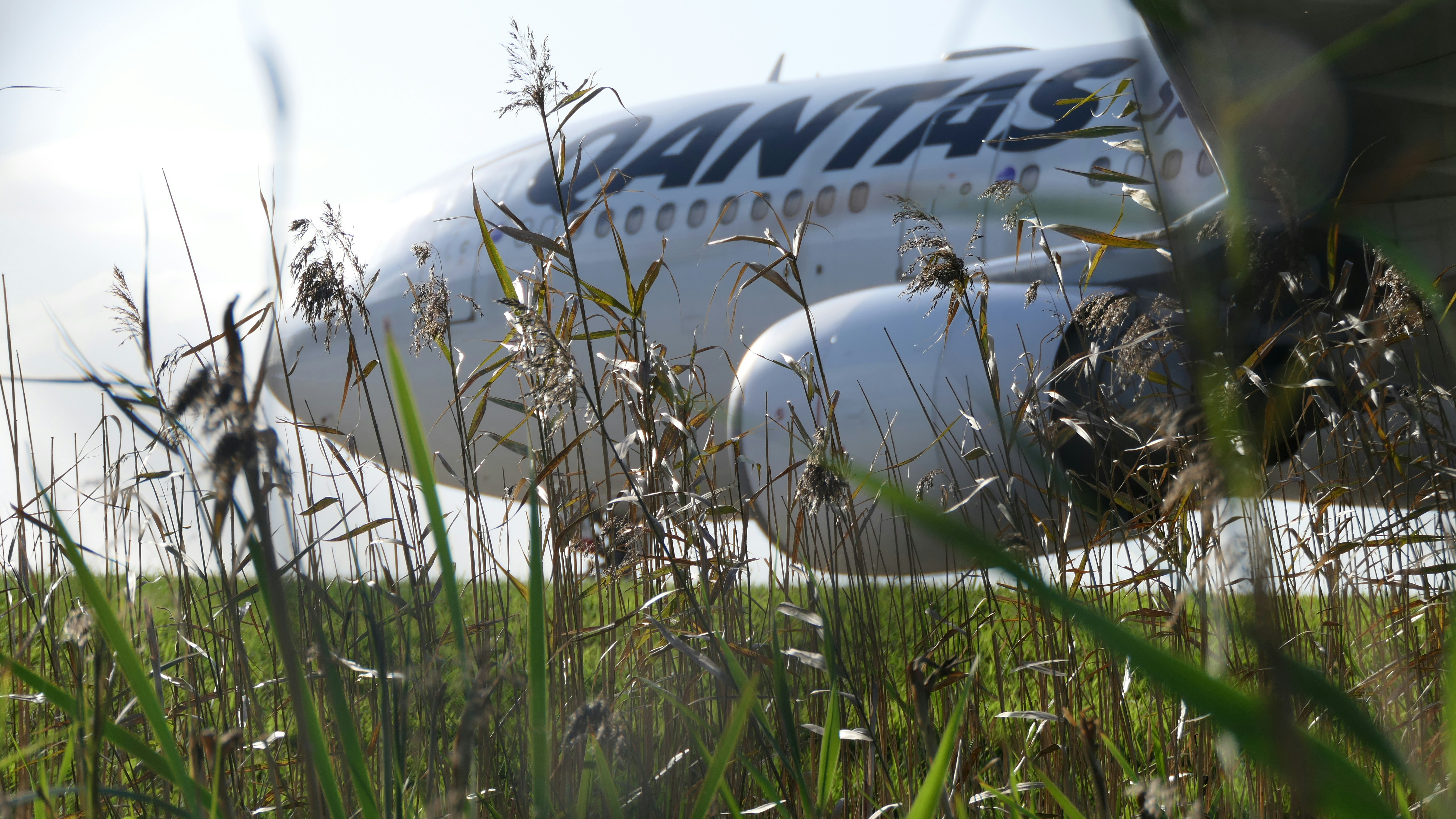 Airplane with qantas logo parked on grass