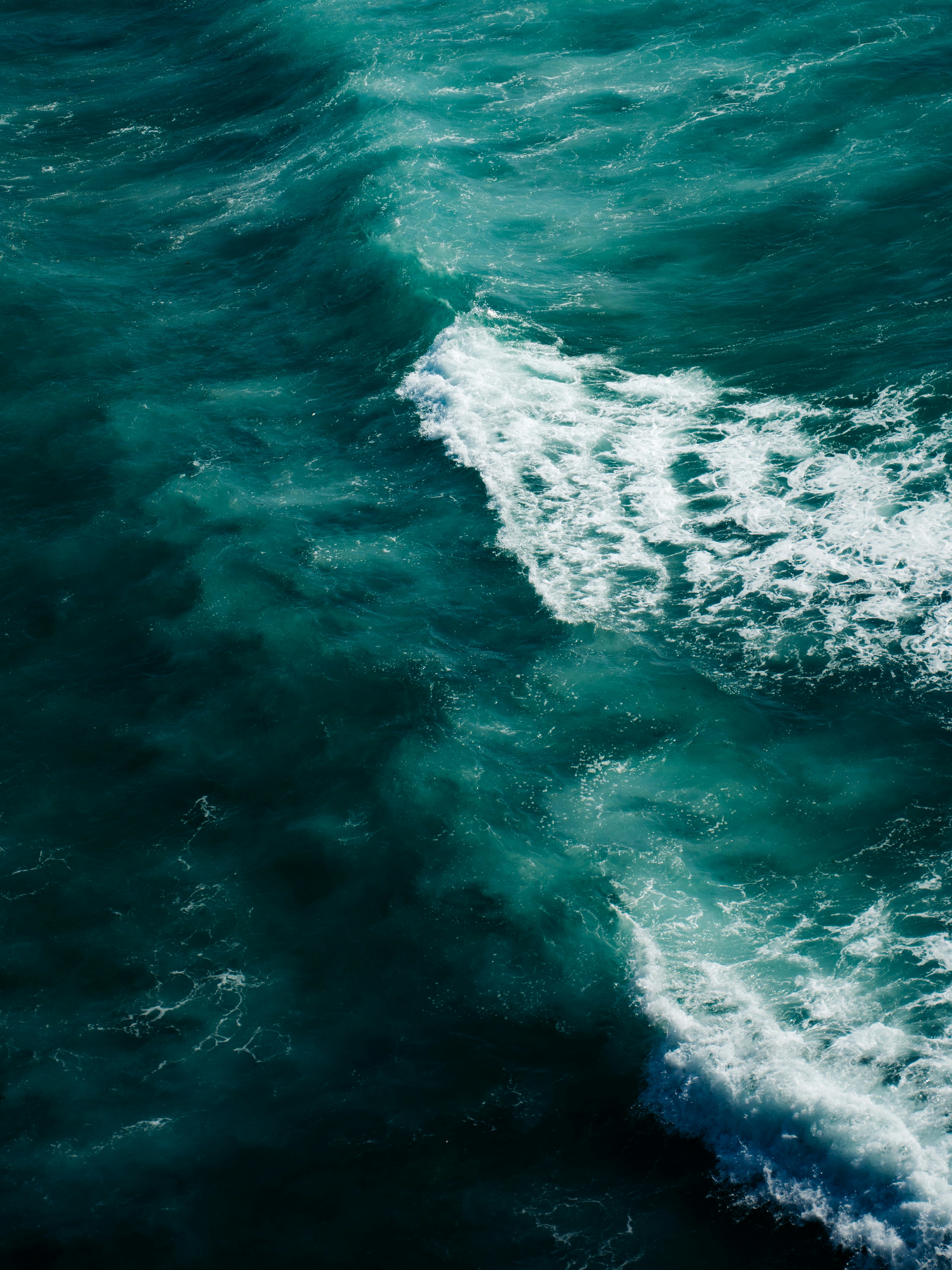 Photo by michielannaert