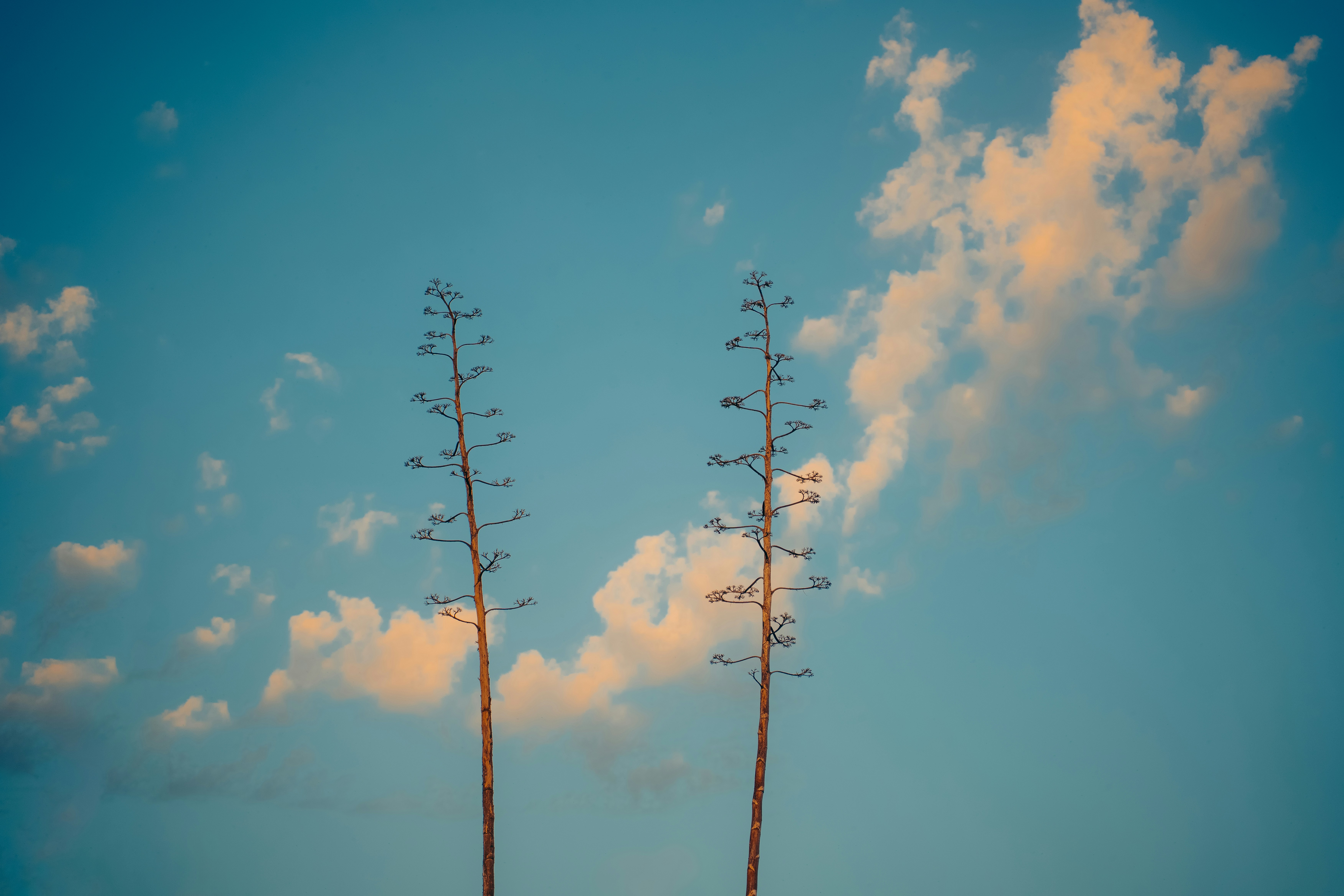 TRL: MET A LOT OF HARDBOILED EGGS, BUT YOU'RE 20 MINUTES