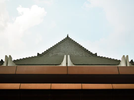 Nettoyage par drone, démoussage de toiture, Nettoyage de panneaux solaires, façade et bardage 