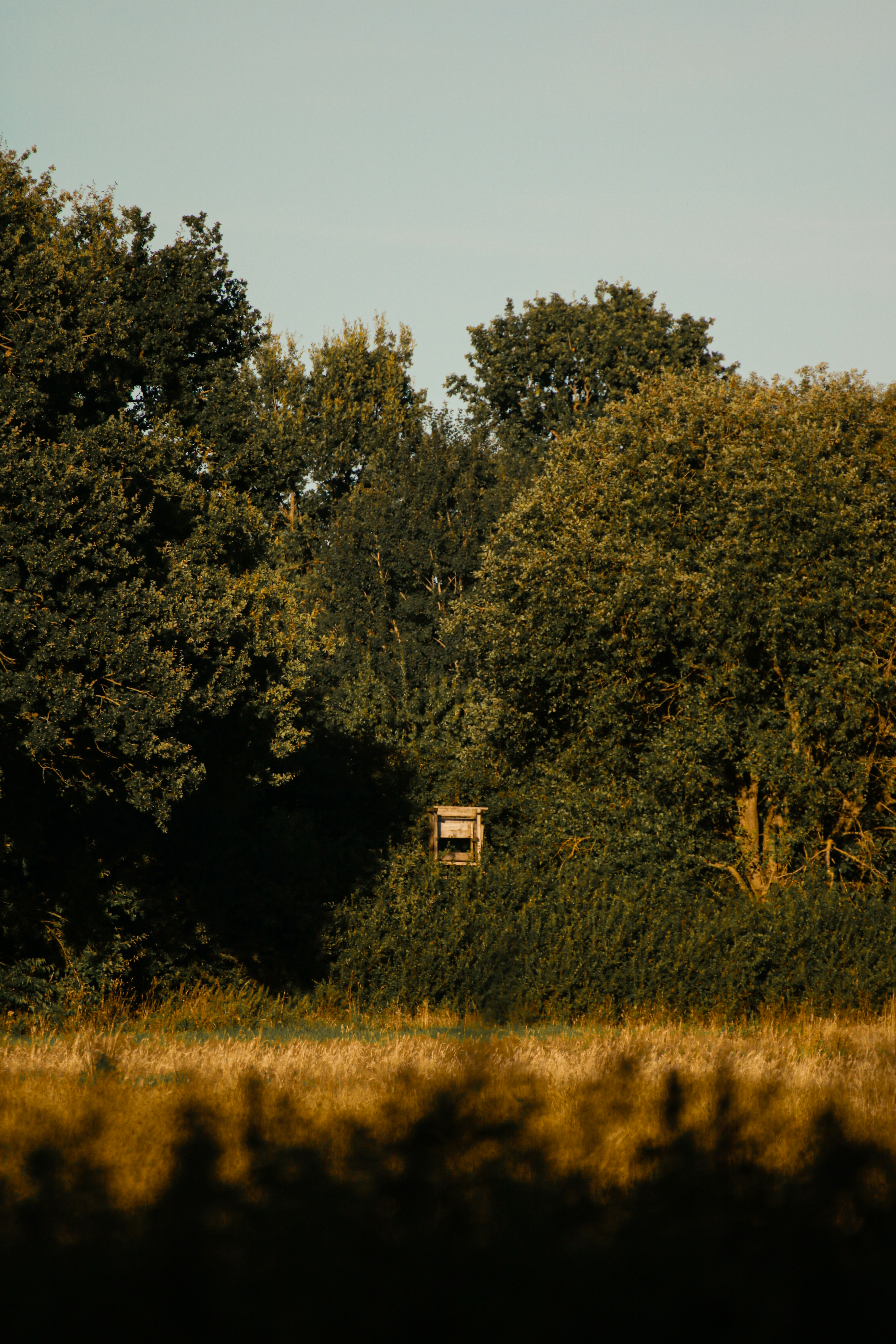 Photo by hartnauer