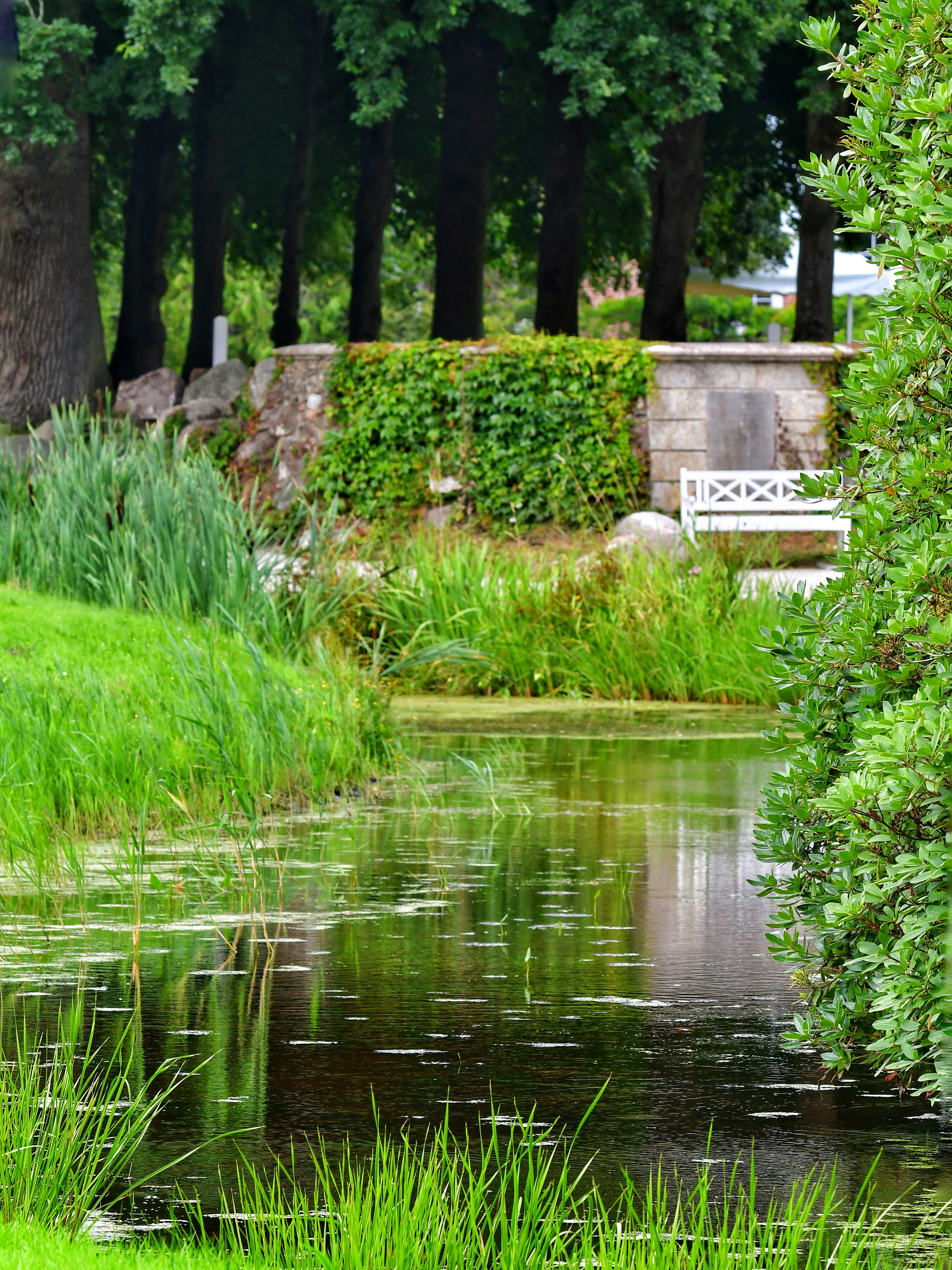 Photo by pedrino5_official