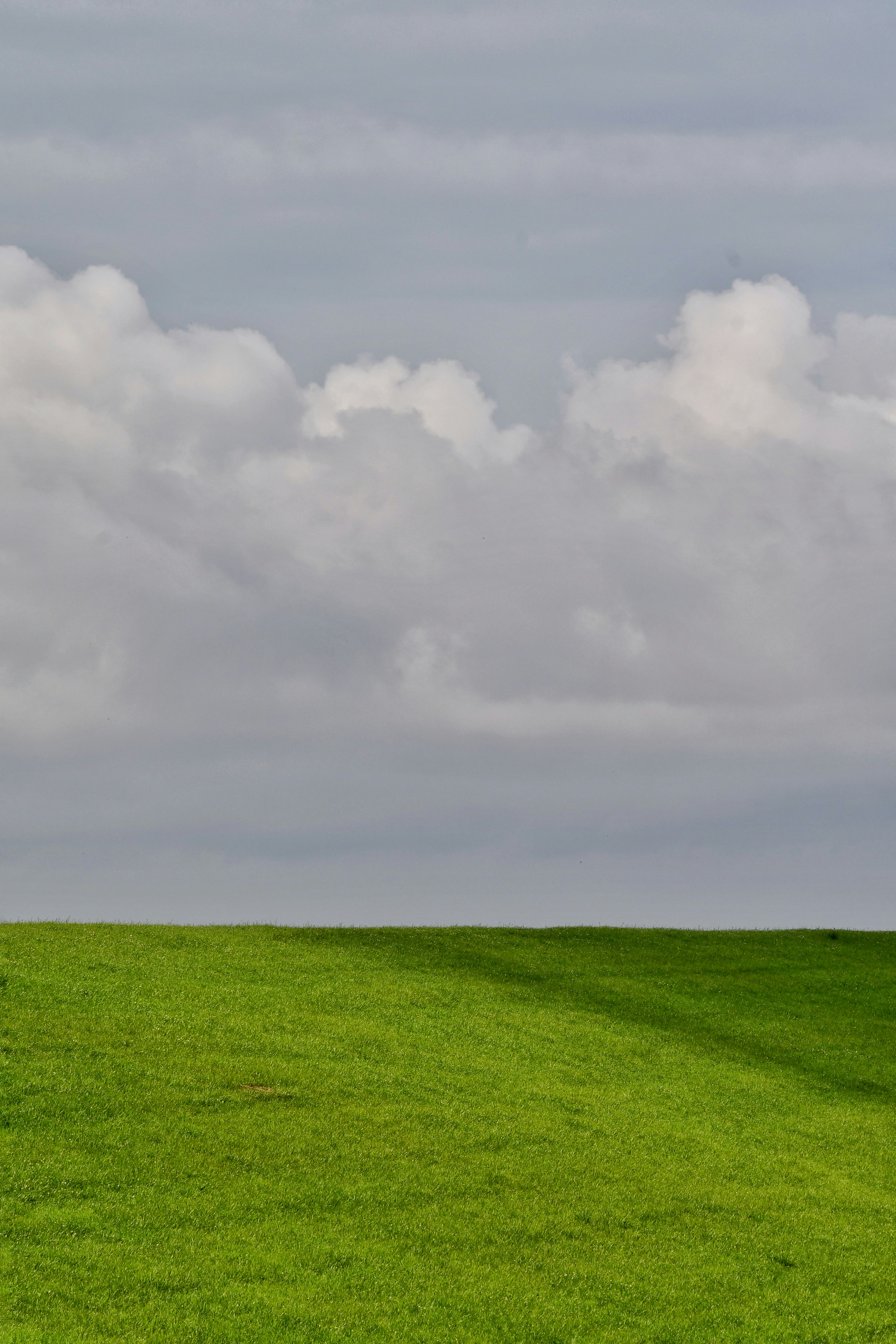 Photo by pedrino5_official