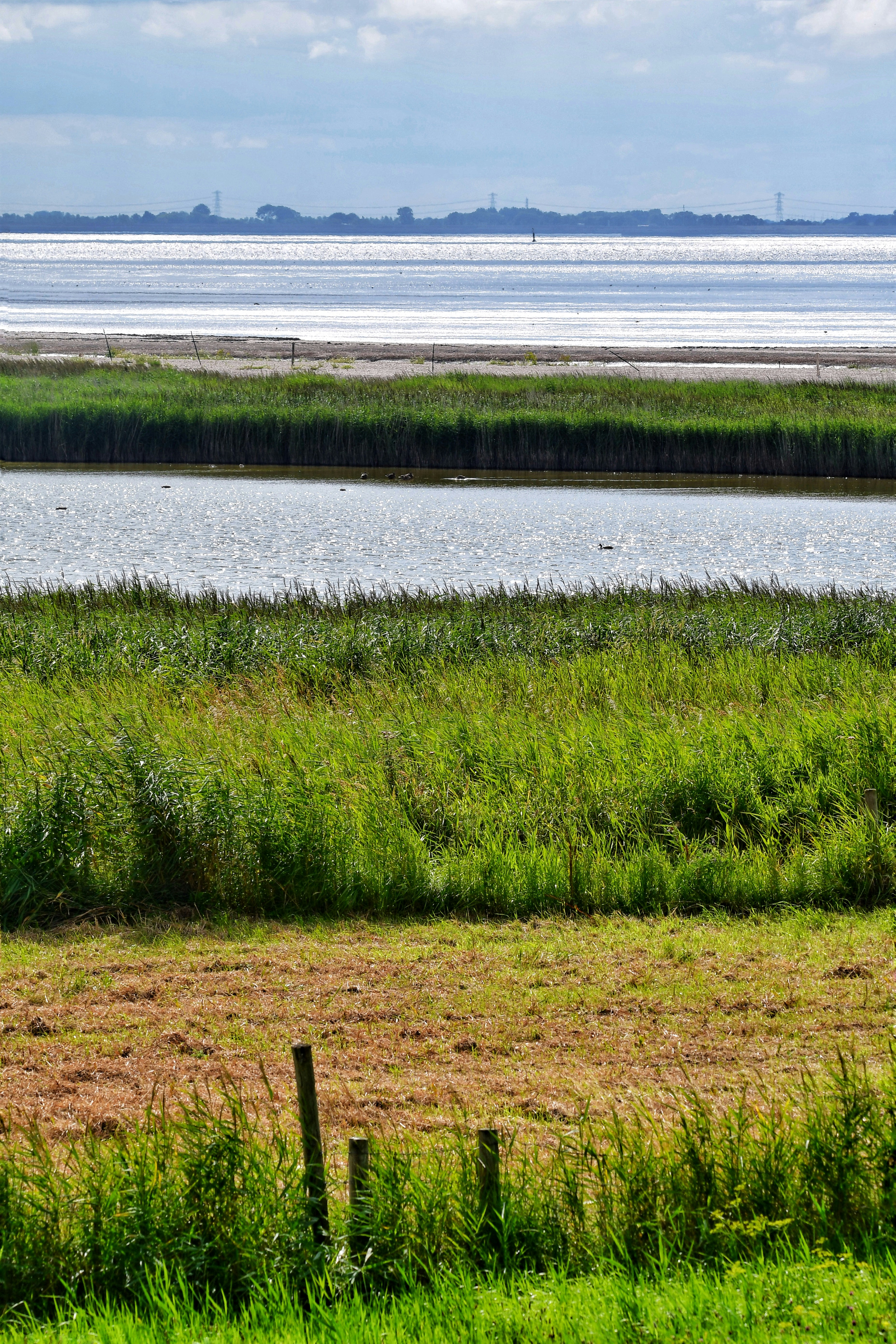 Photo by pedrino5_official