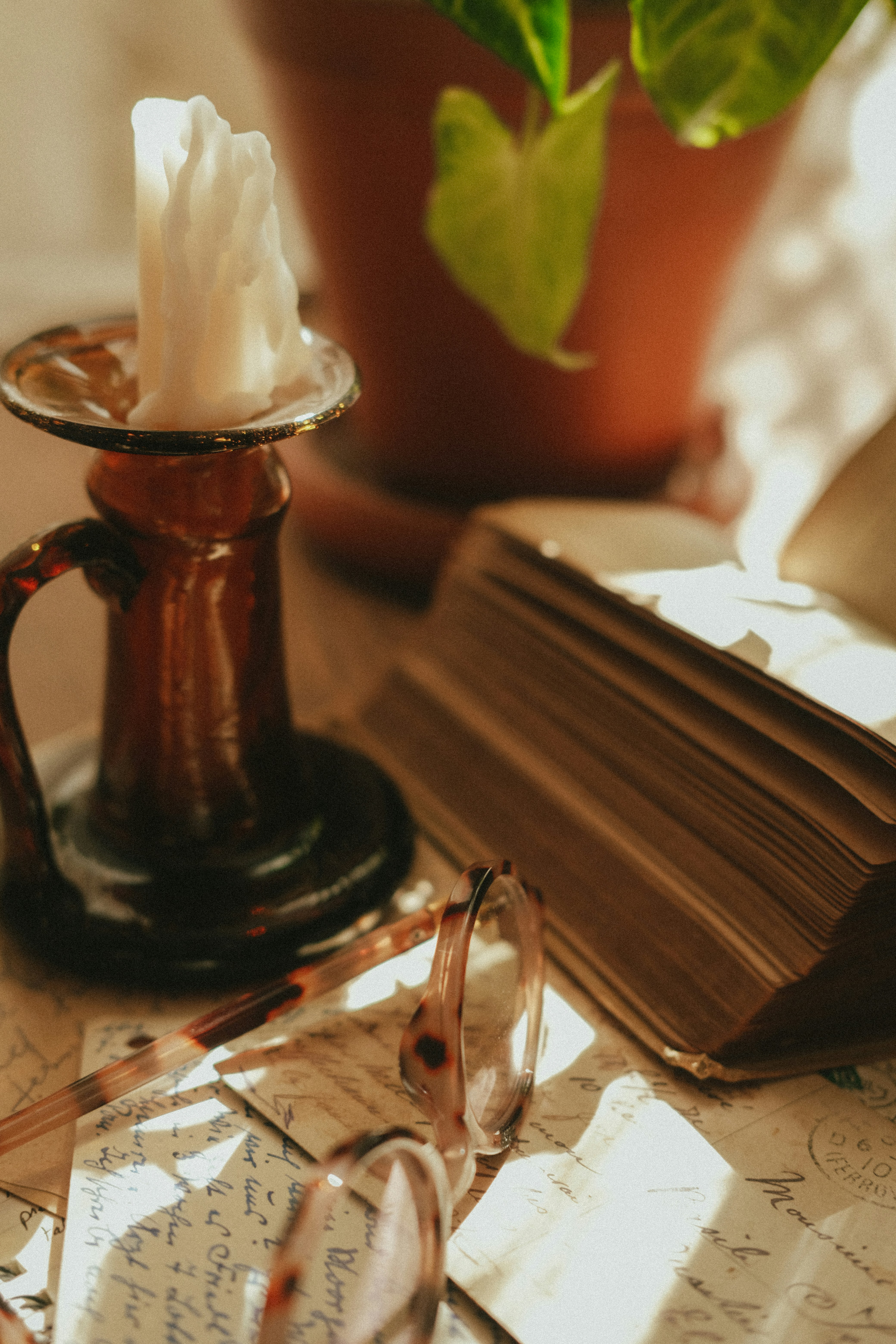 Photo by shetellsastory