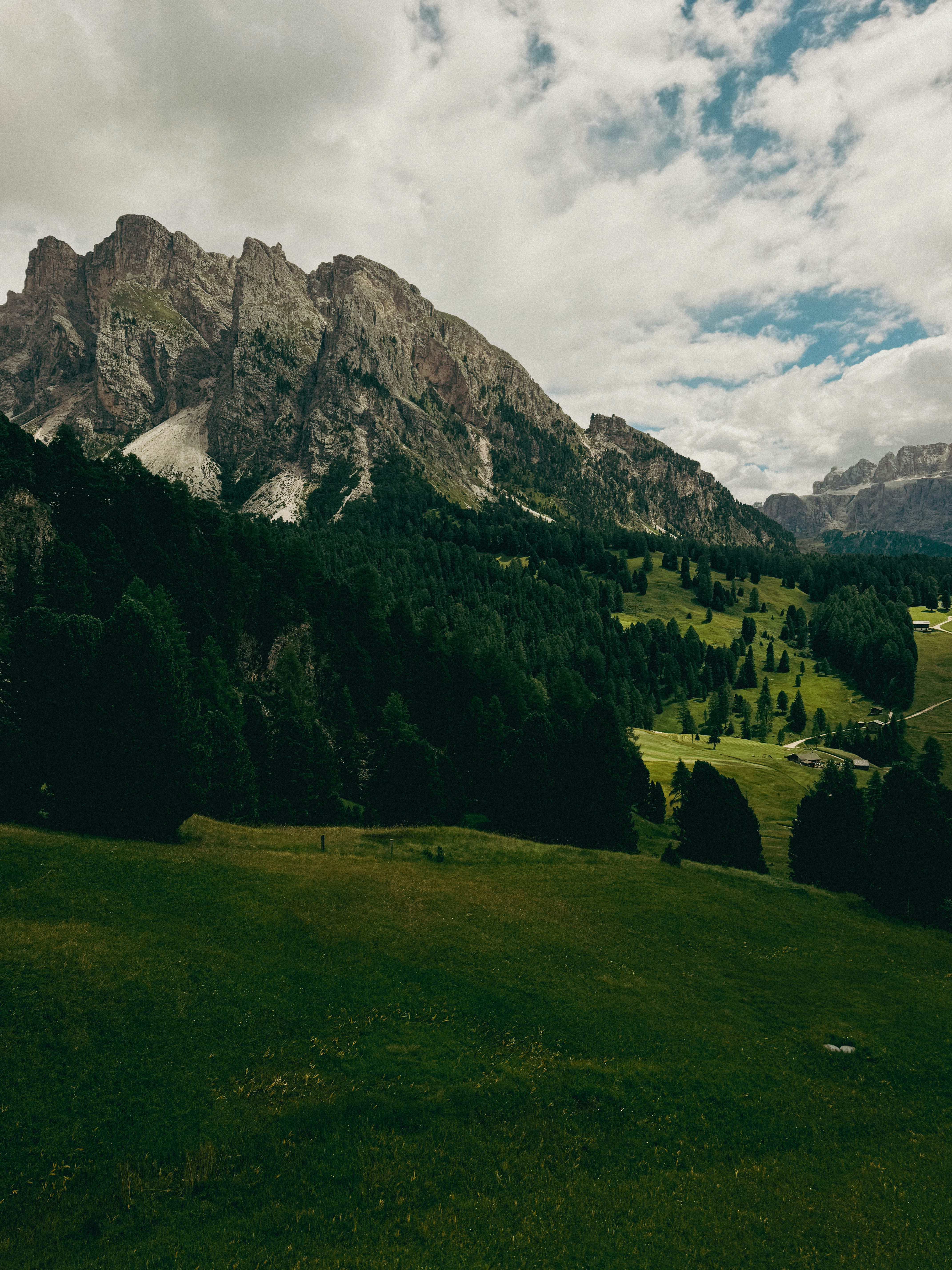 Lush green meadow leads to majestic rocky mountains