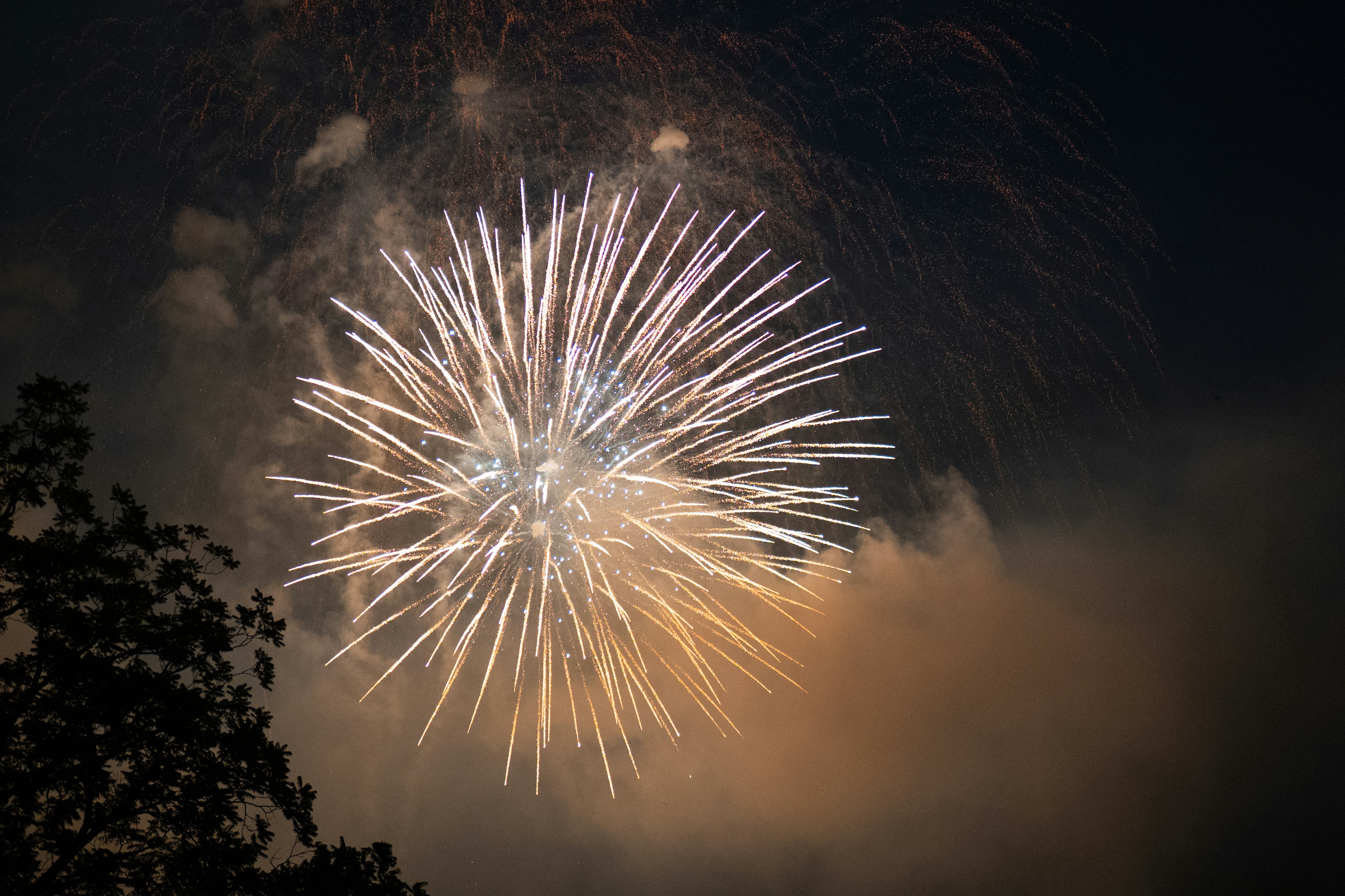 A single white firework bursts in the night sky.