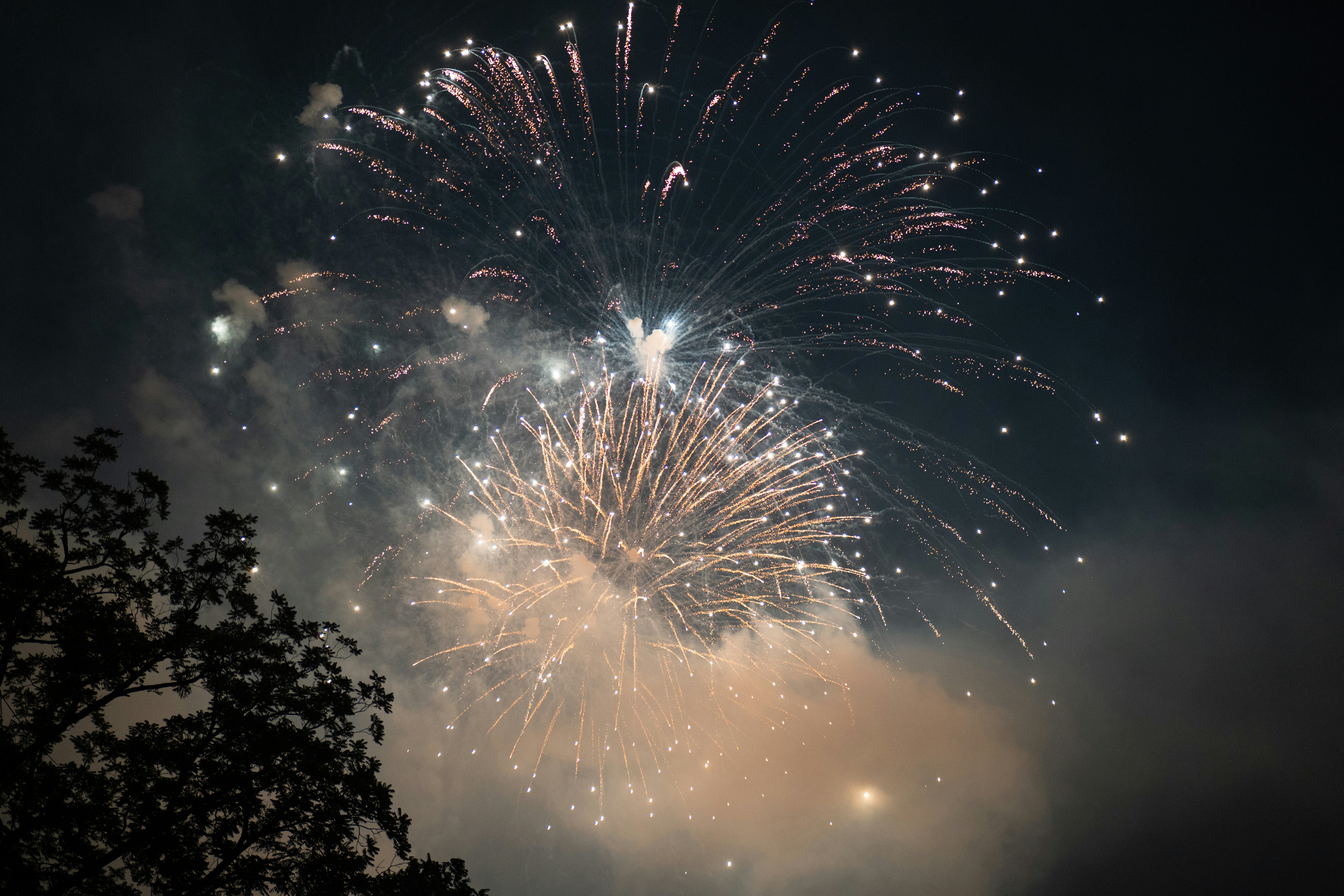 Exploding fireworks light up the night sky