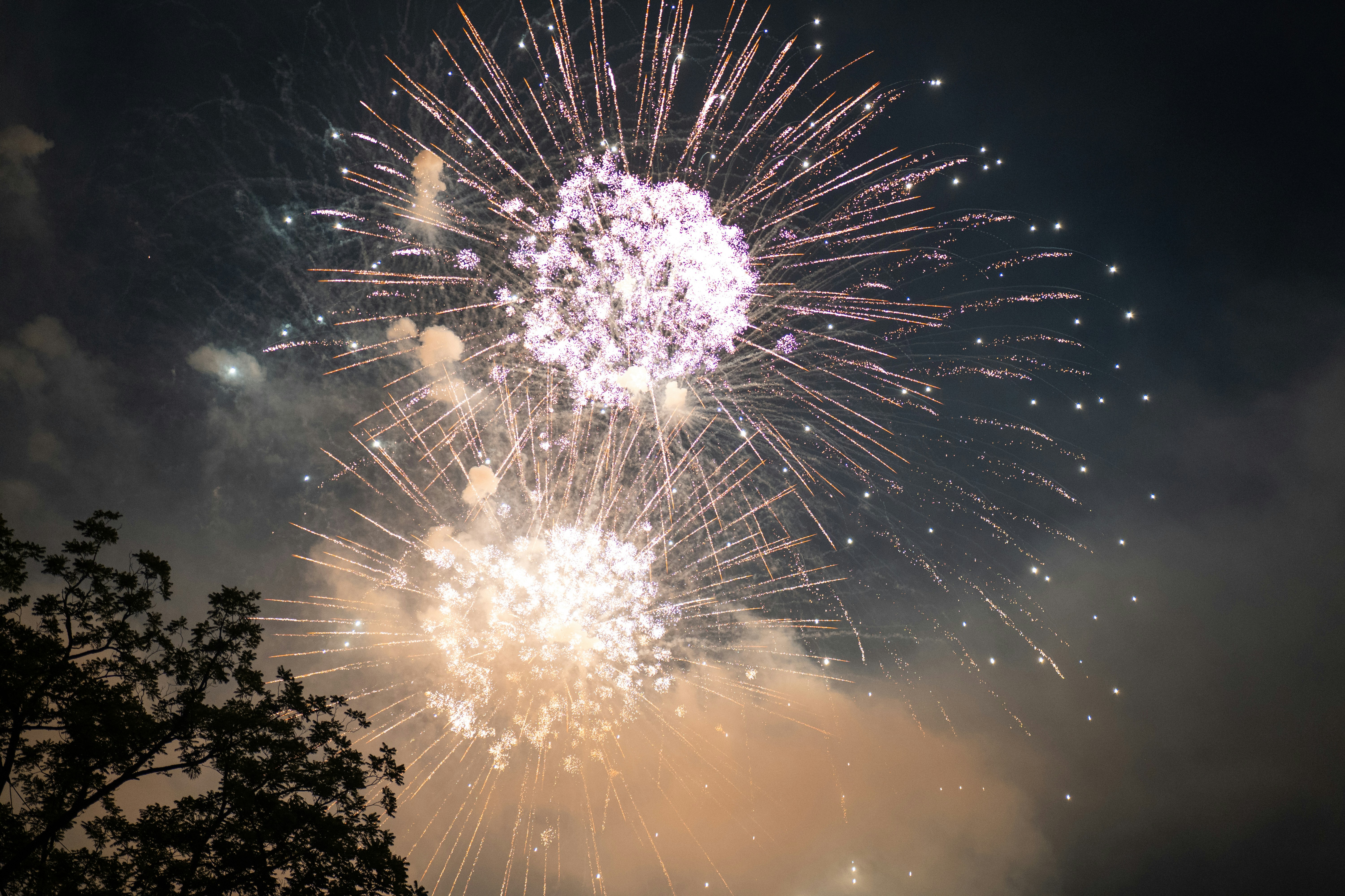 Bright fireworks explode in the night sky