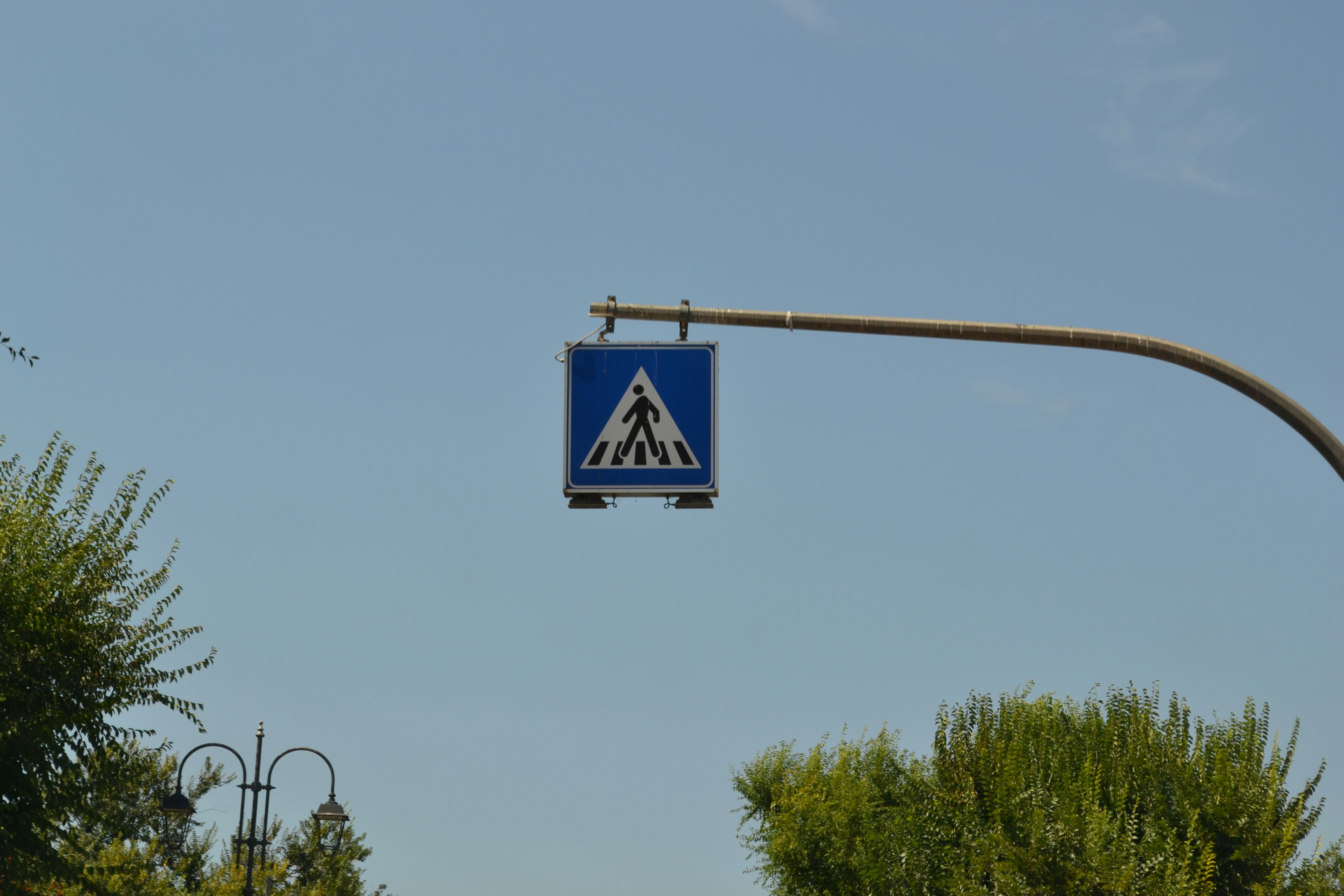 Photo by viktor_rejent