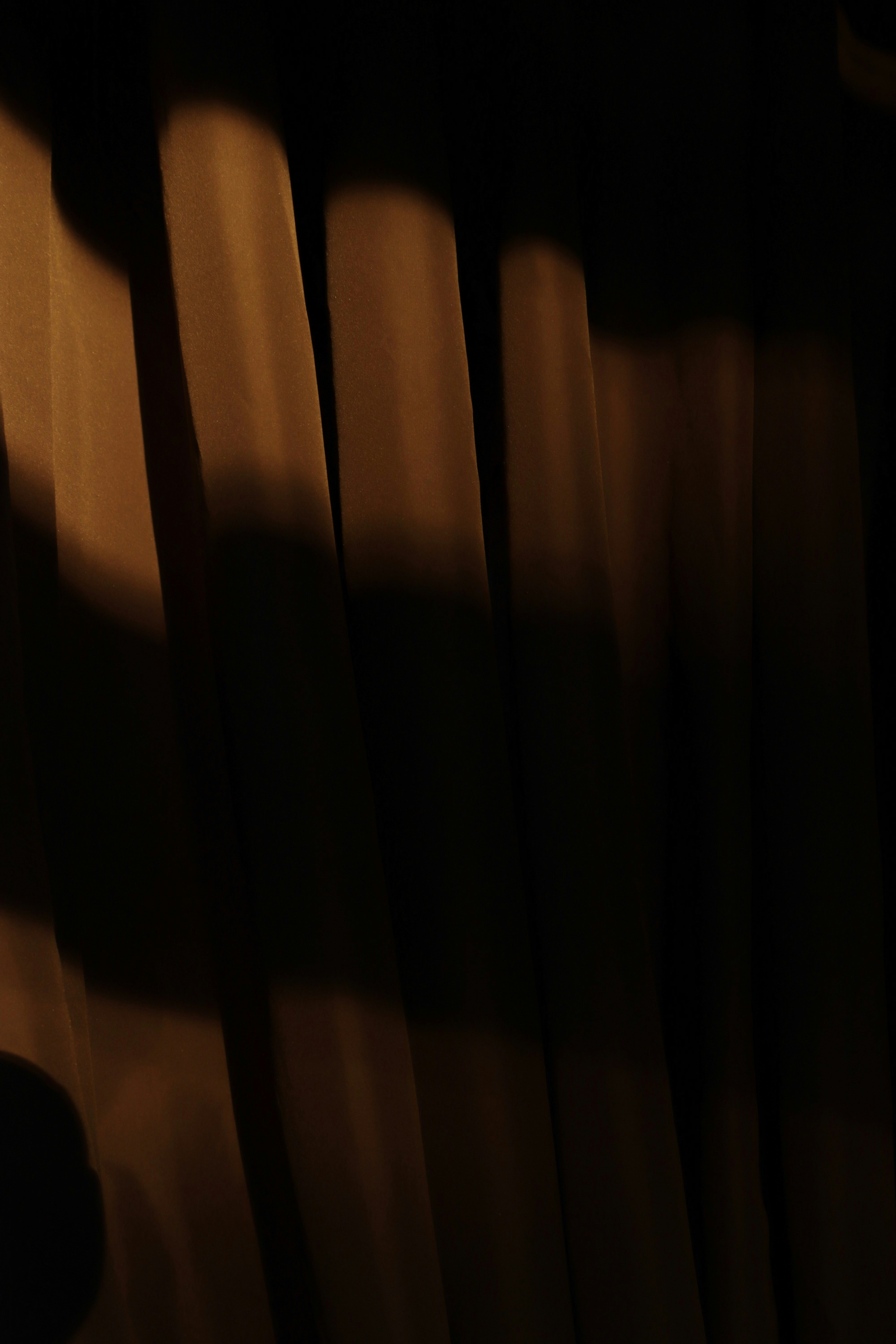 Photo by bored_mongoose