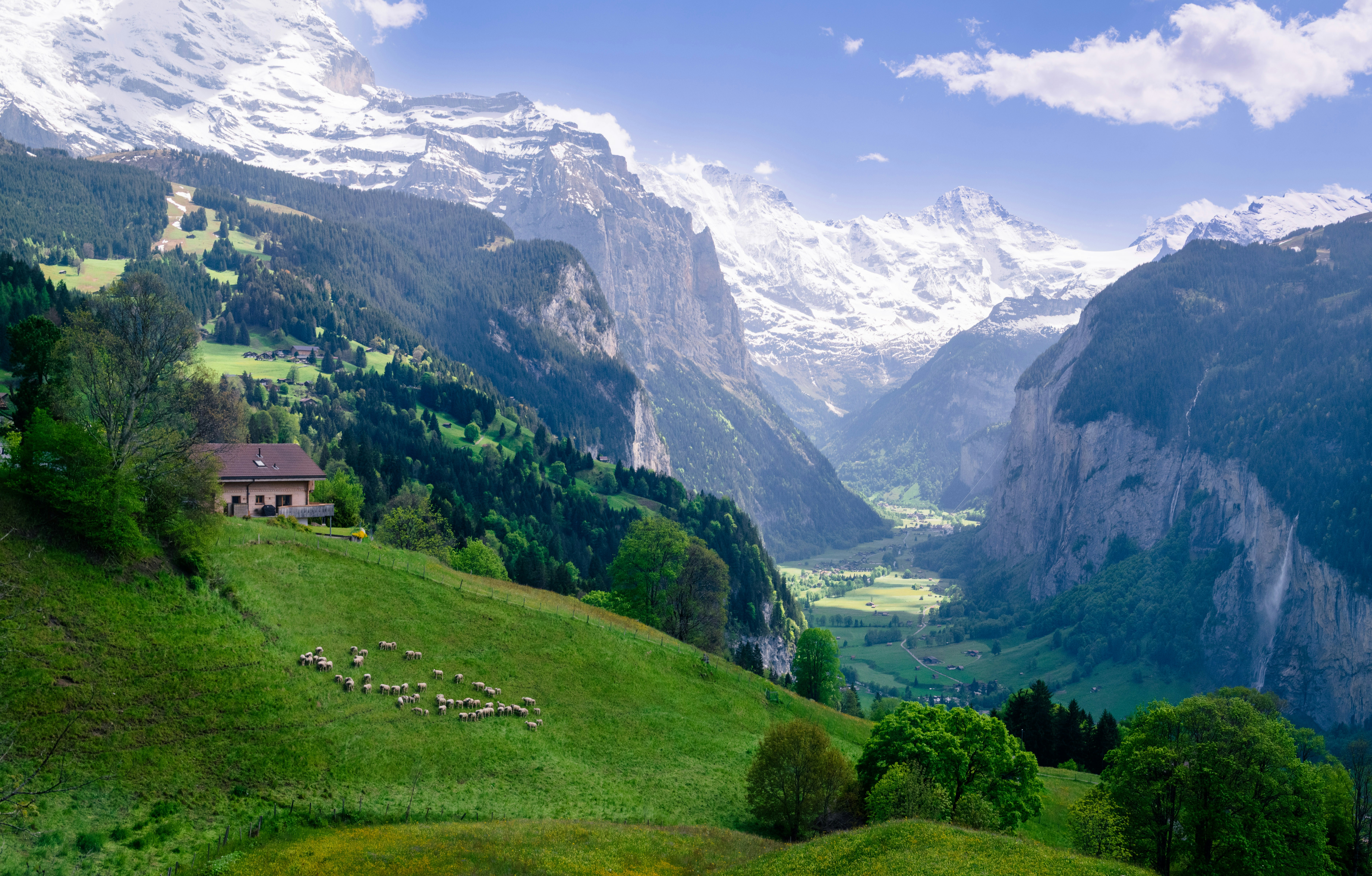 Photo by sriniunsplash