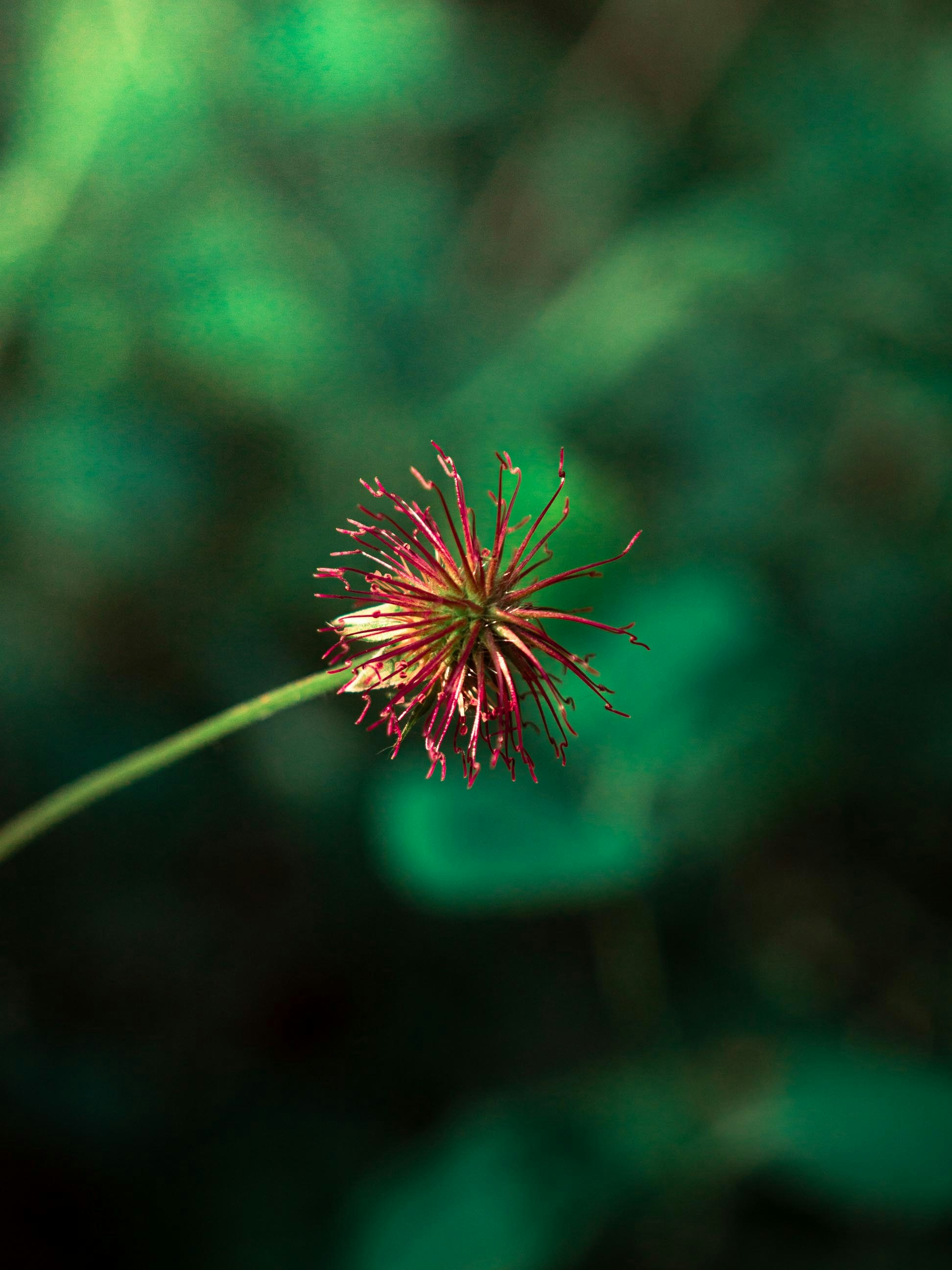 Photo by eliamassignan