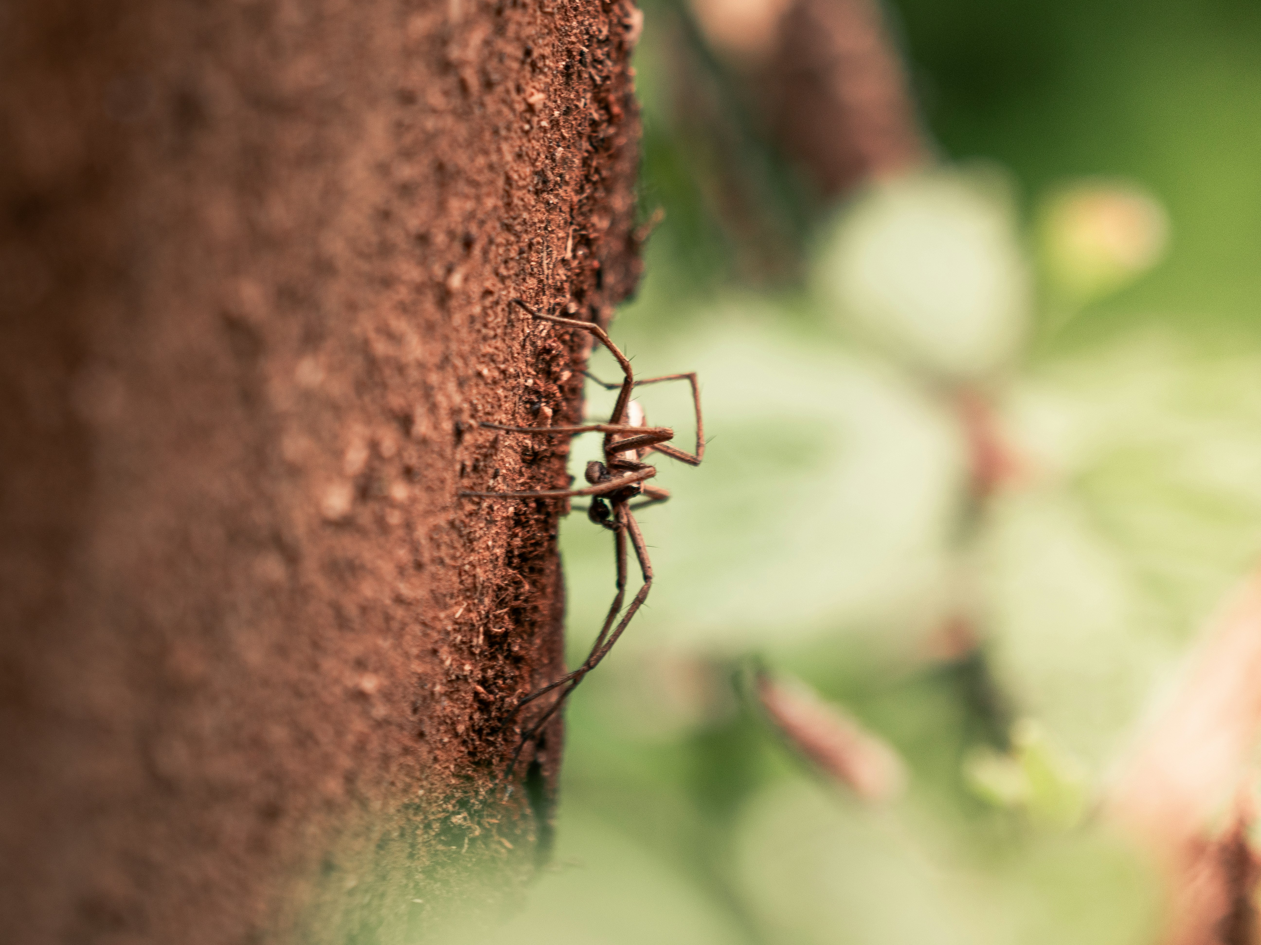 Photo by eliamassignan