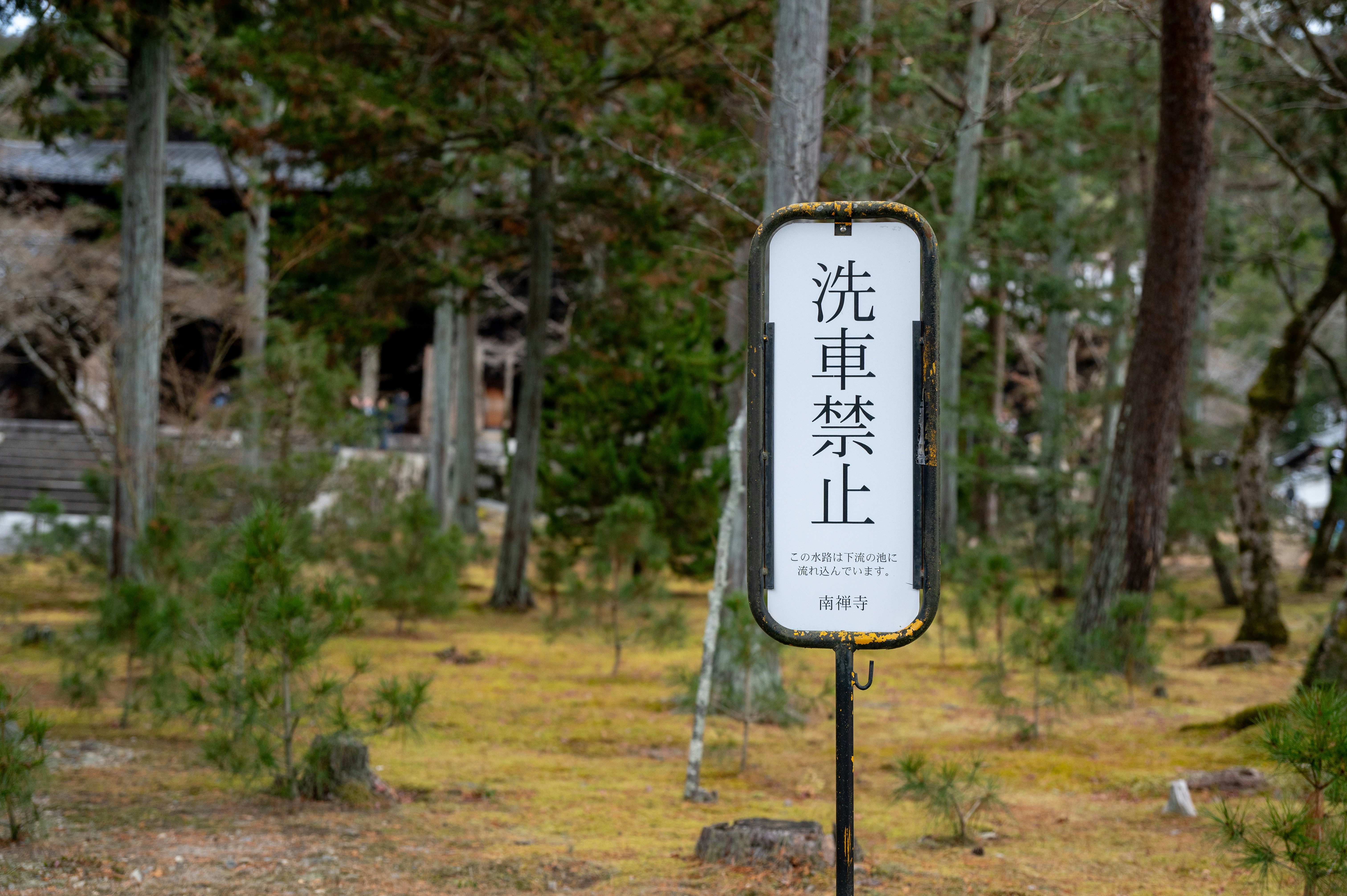 Photo by turquocabbit